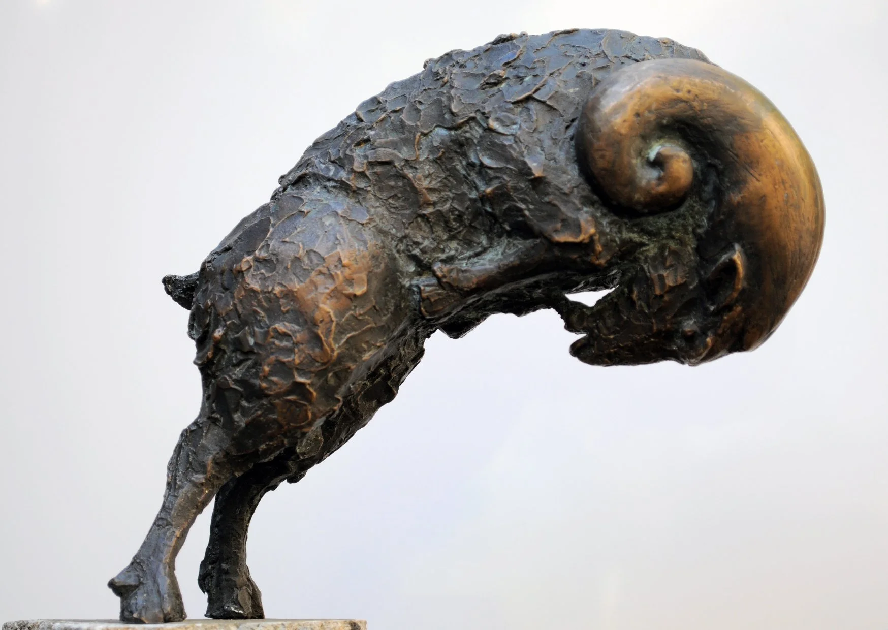 Widder (Auflage erfüllt)