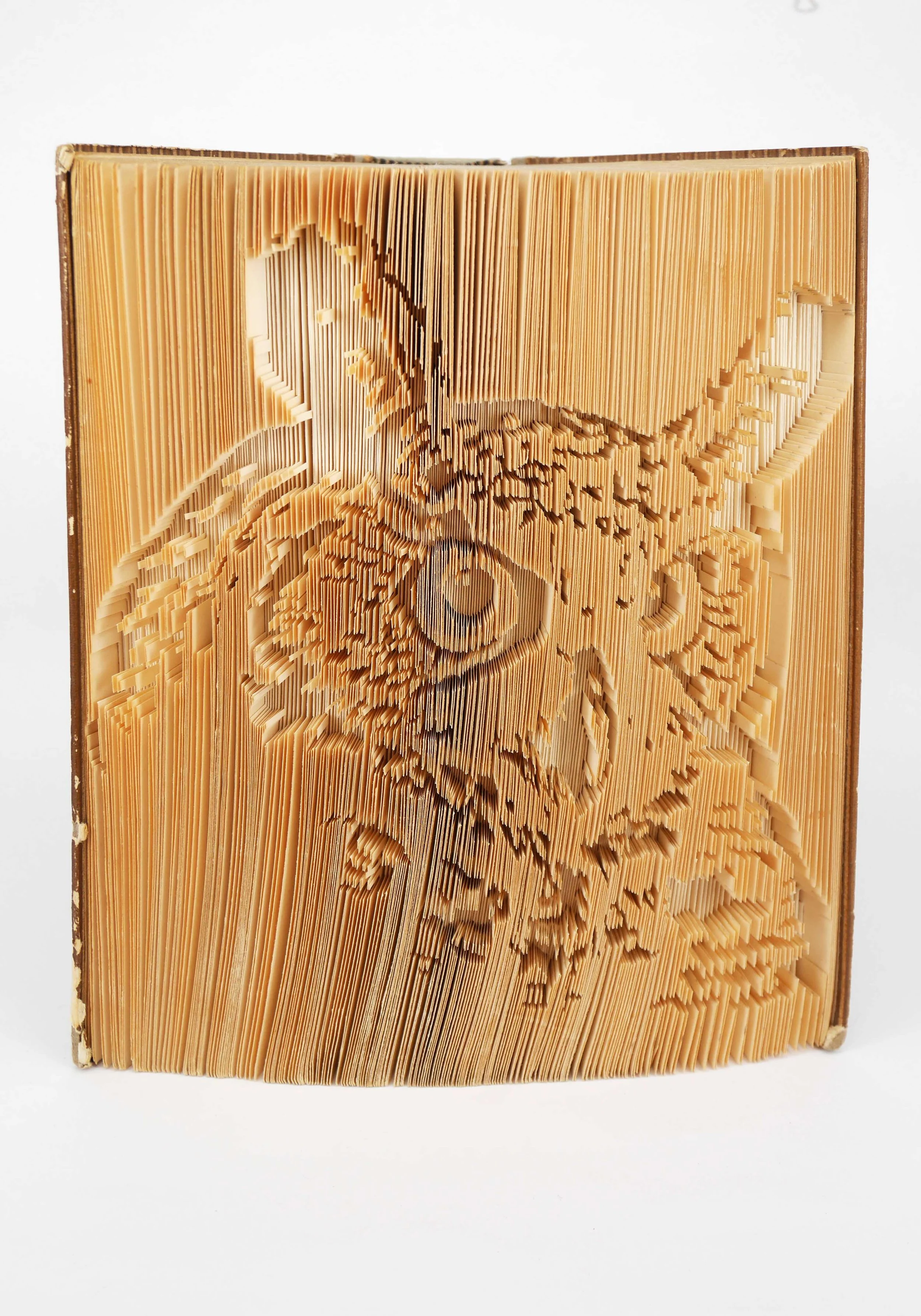 Buchfaltkunst, Eule, Frontalansicht