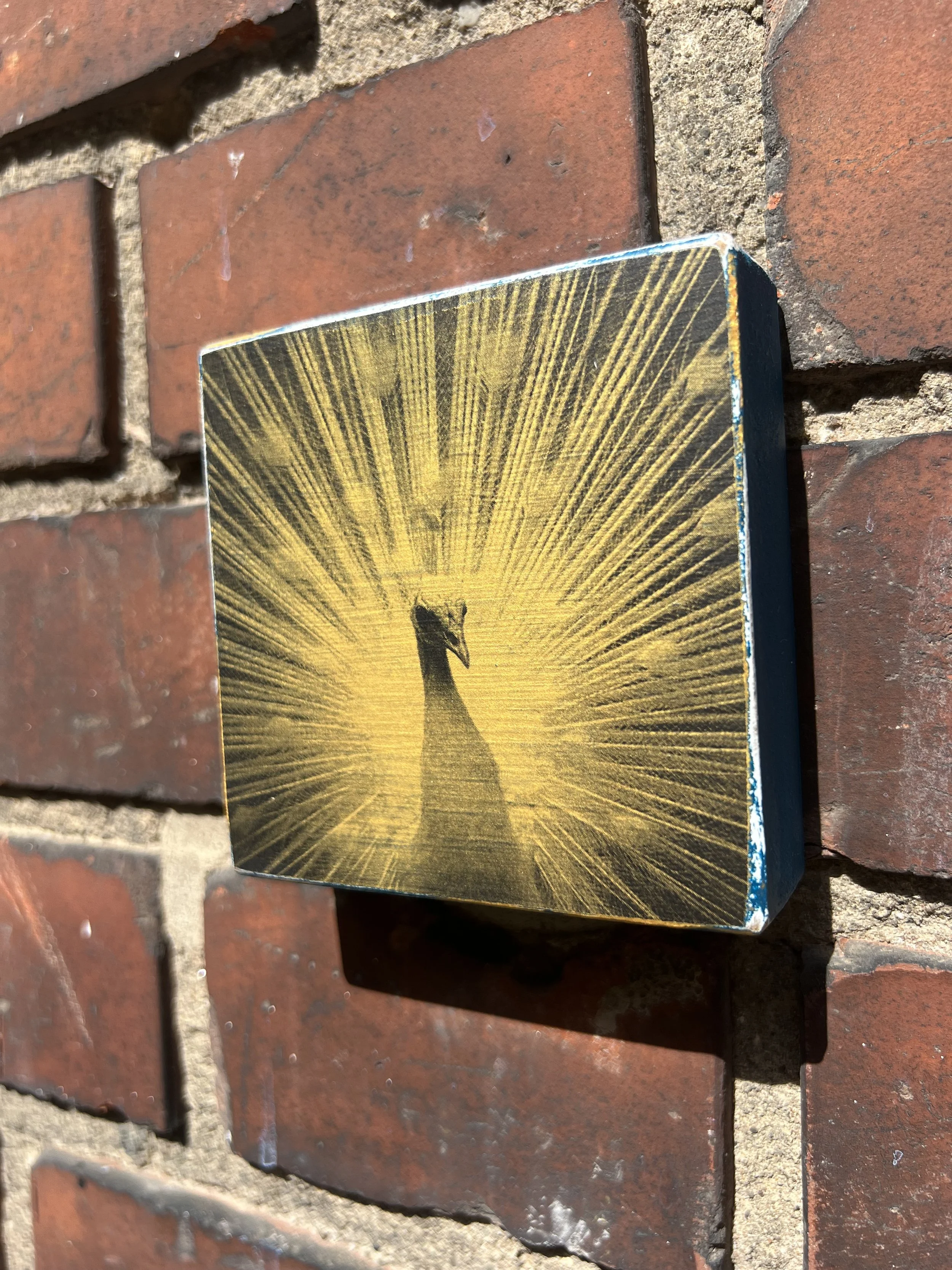 Druck-Collage. 10x10cm. Für die Wand oder zum Hinstellen. Jedes ein Einzelstück.