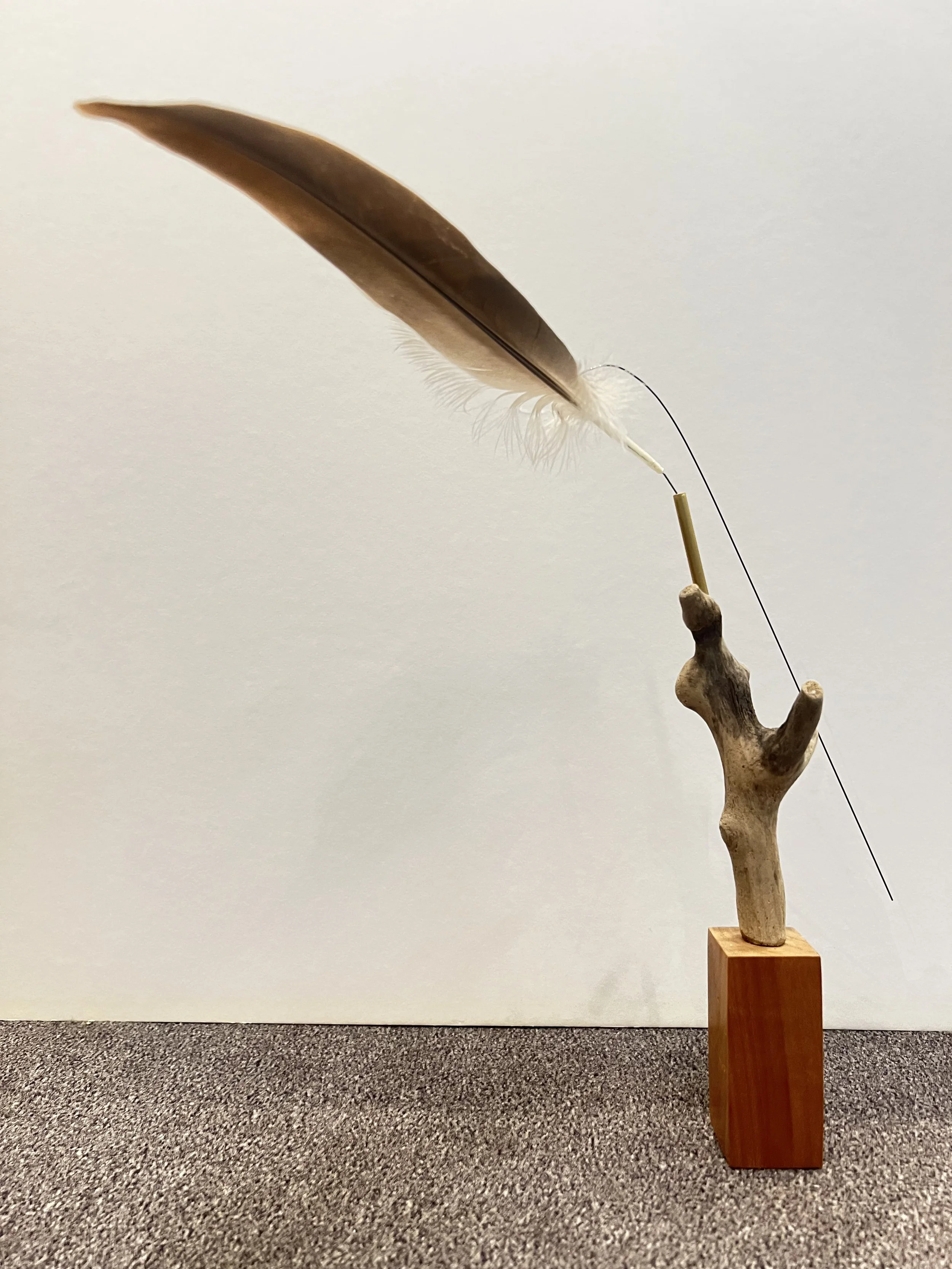 Stabile mit Feder, Federstahl, Messingstab und Schwemmholz vom Rhein