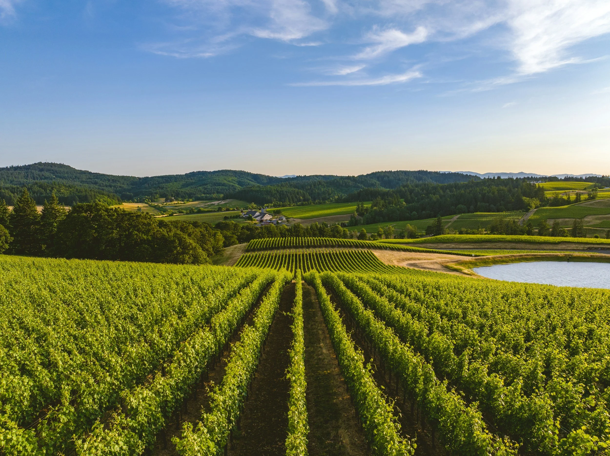 Fiscalité et Société Agricole