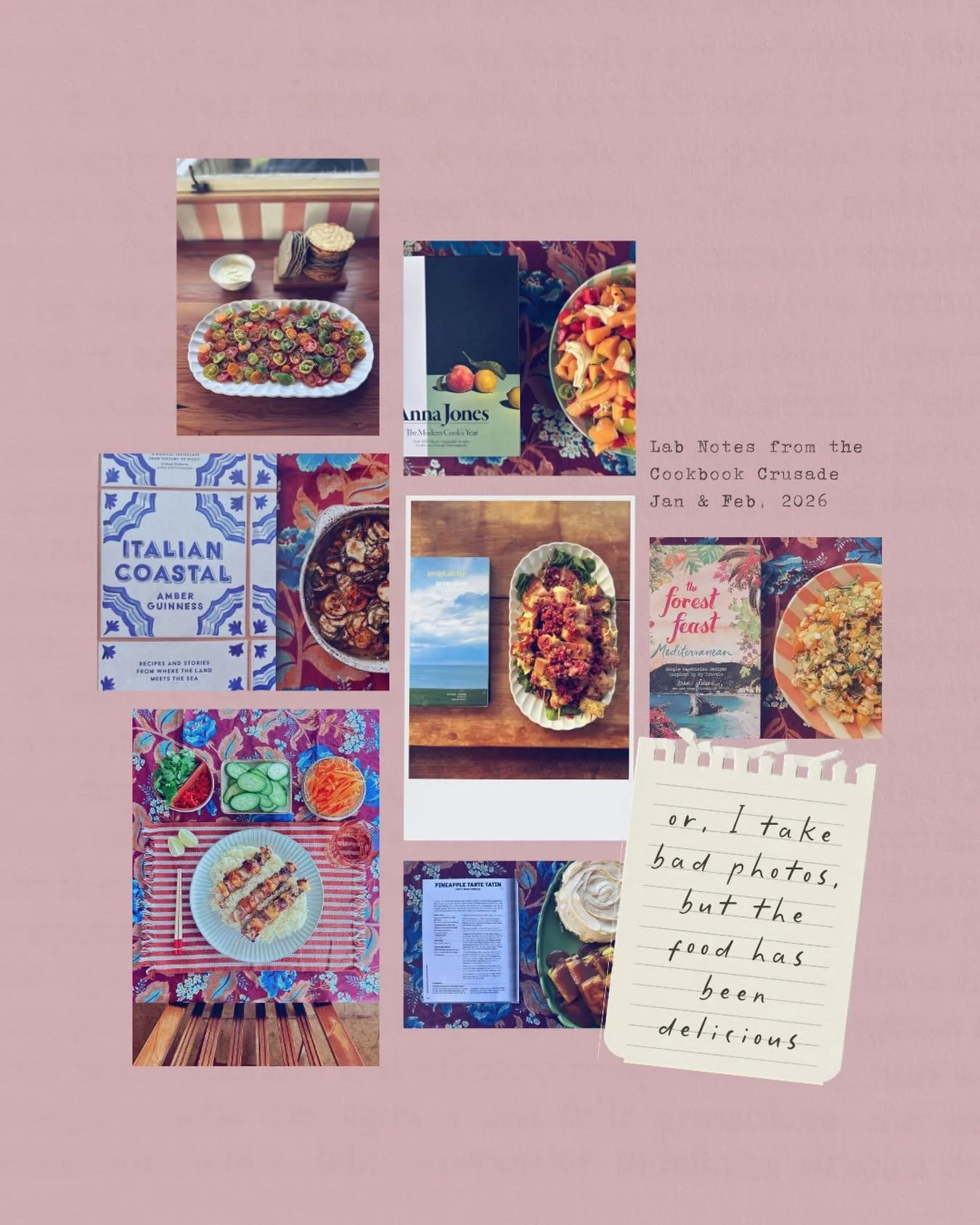 Current status: ☑️ 11 cookbooks tested. ☑️ 1 caramel disaster. ☑️ 0 perfect photos. ☑️ 100% reckless enthusiasm.

I&rsquo;m playing catch-up on my 2026 Cookbook Crusade and the &ldquo;Lab Notes&rdquo; are finally ready. From summer tacos to the great