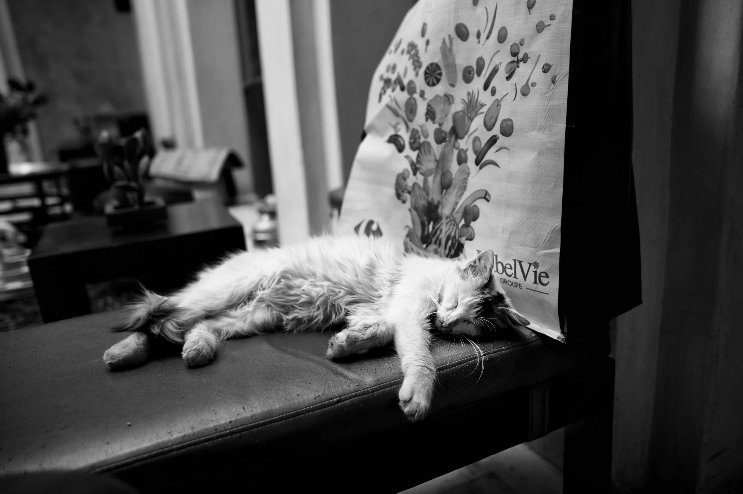 A cat lying on a bench with its eyes closed, stretching out on its side next to a bag with a floral design.