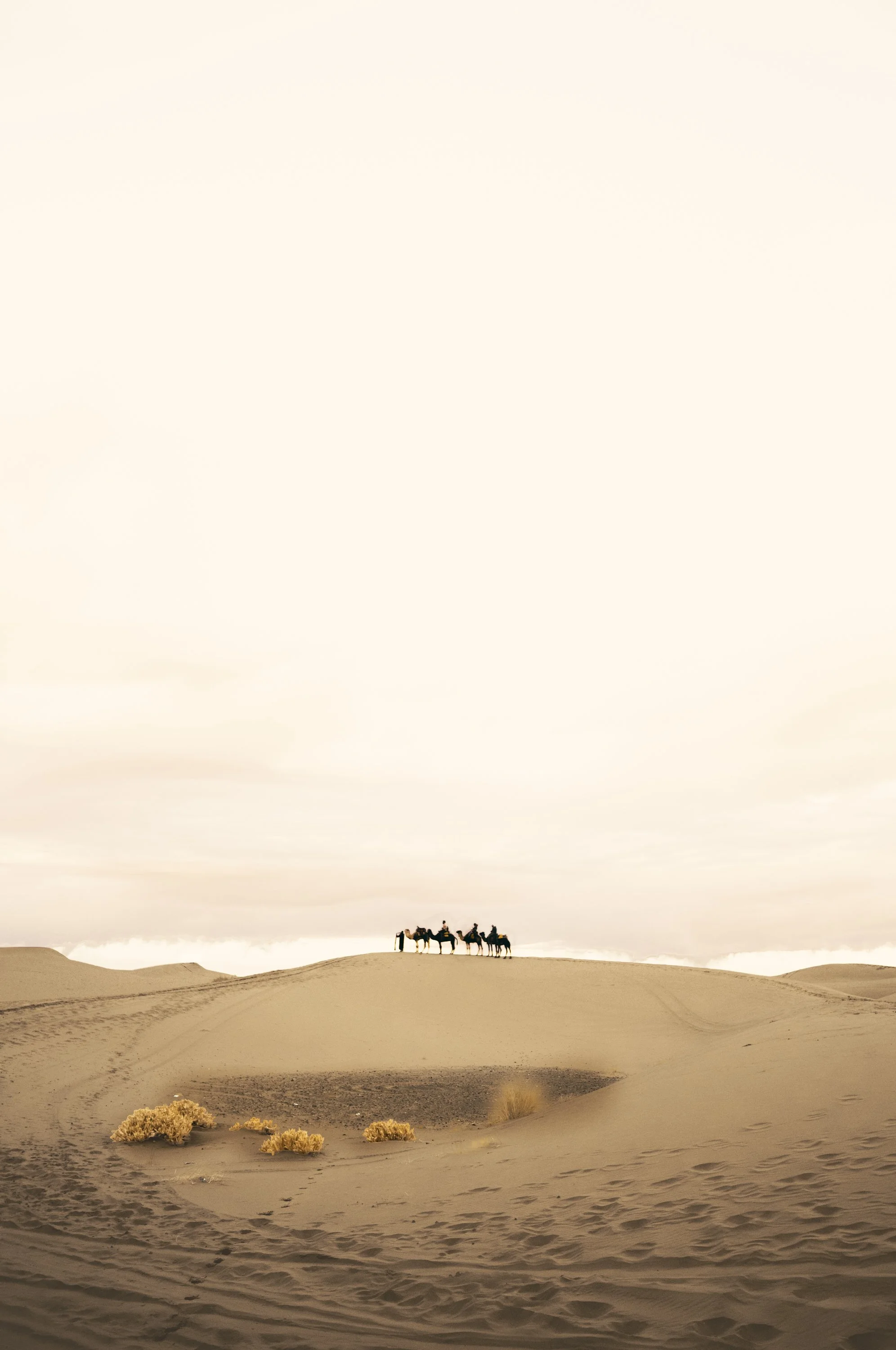 A group of camels with riders on a sand dune in a desert with a cloudy sky.