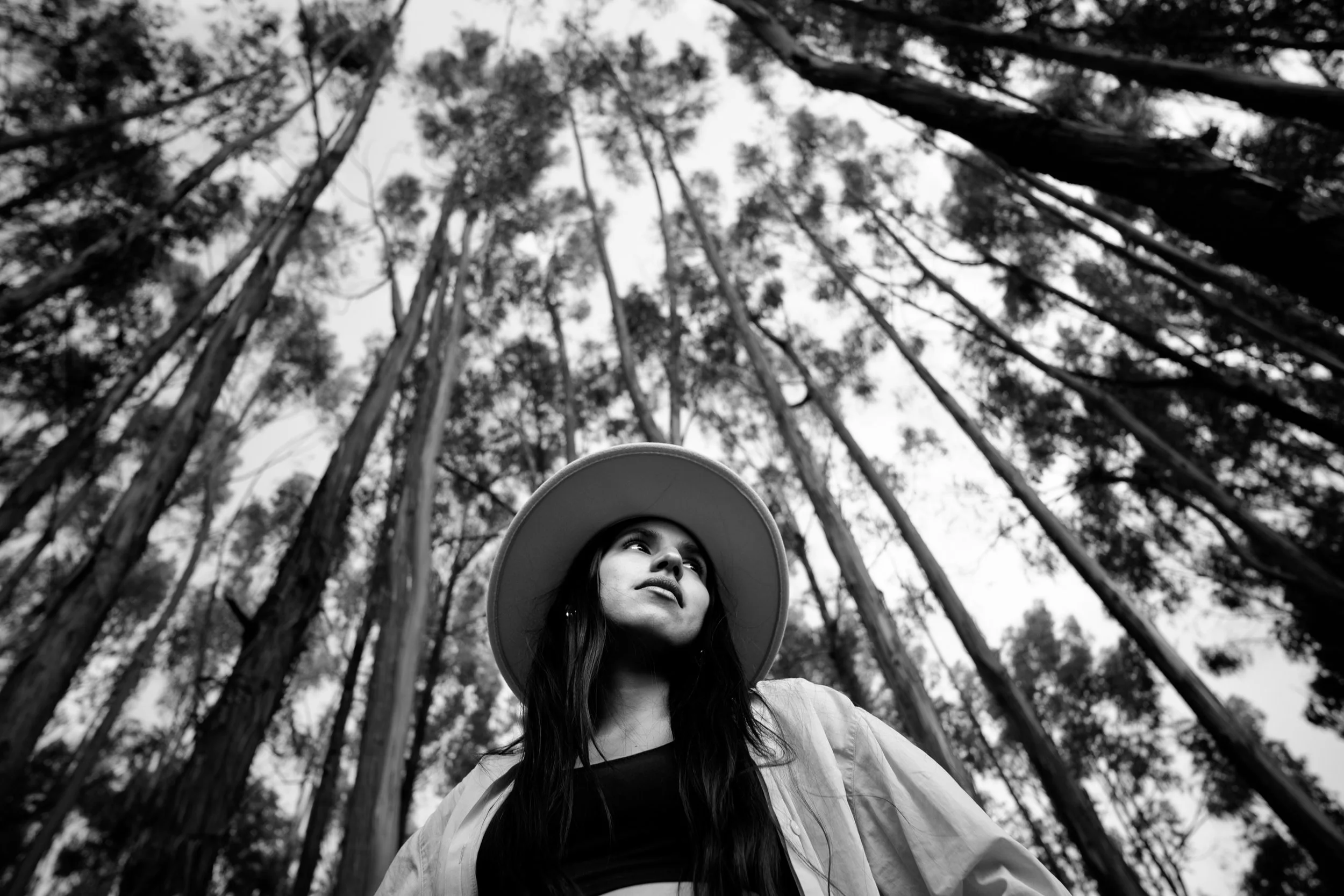 A woman wearing a large hat looking upward in a forest with tall trees surrounding her