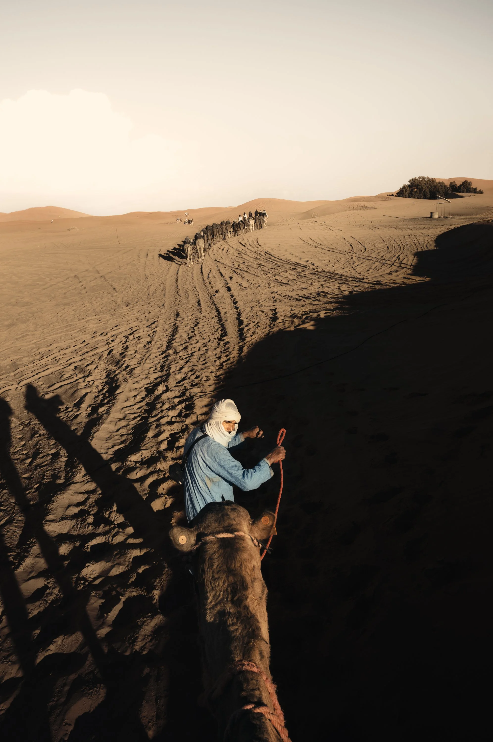 A person leading a camel in a desert, with a line of camels and people in the distance on sandy dunes.