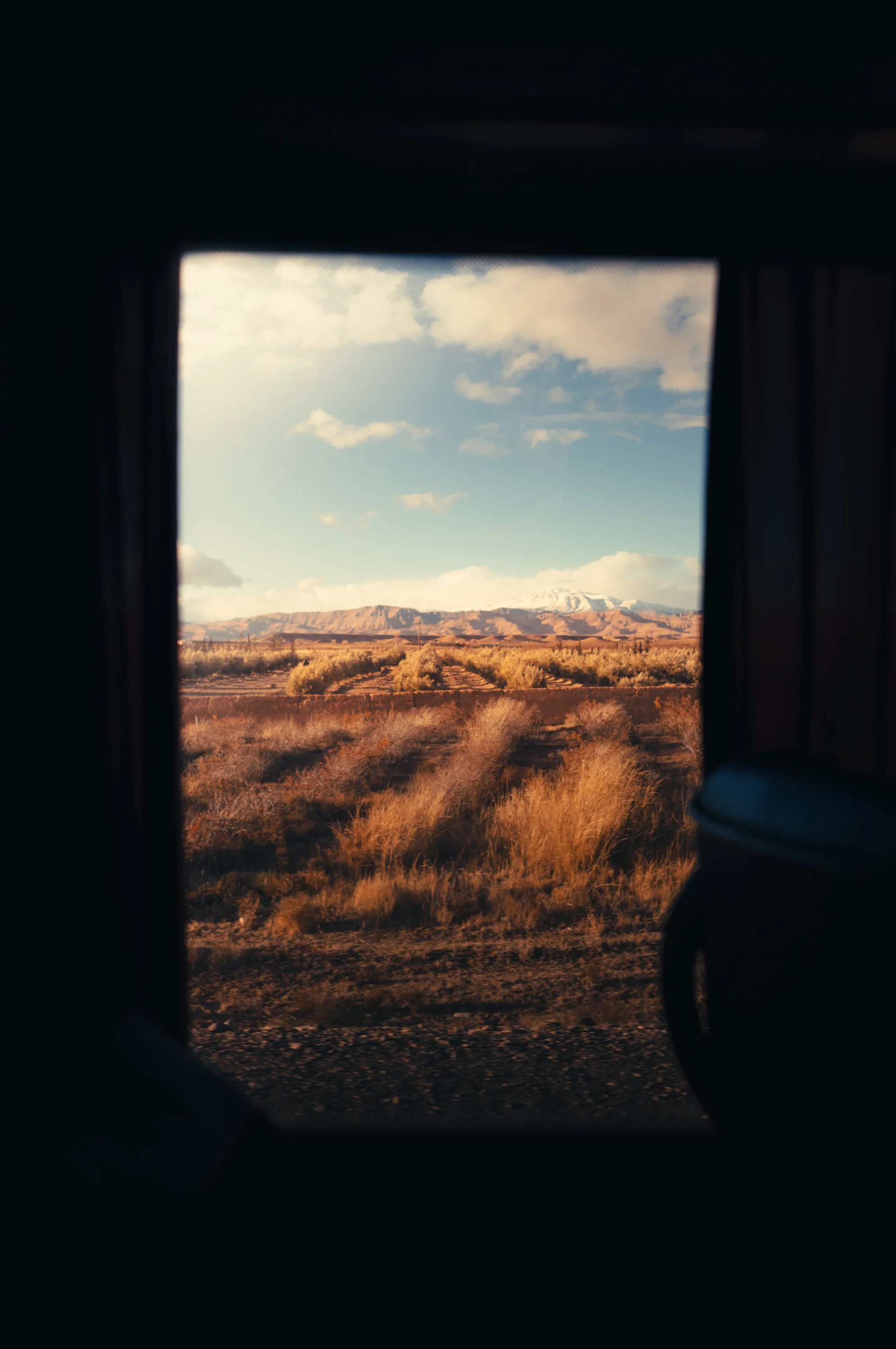 View of a desert landscape with mountains in the distance, seen through a window or opening, with dry grasses and sparse vegetation in the foreground.