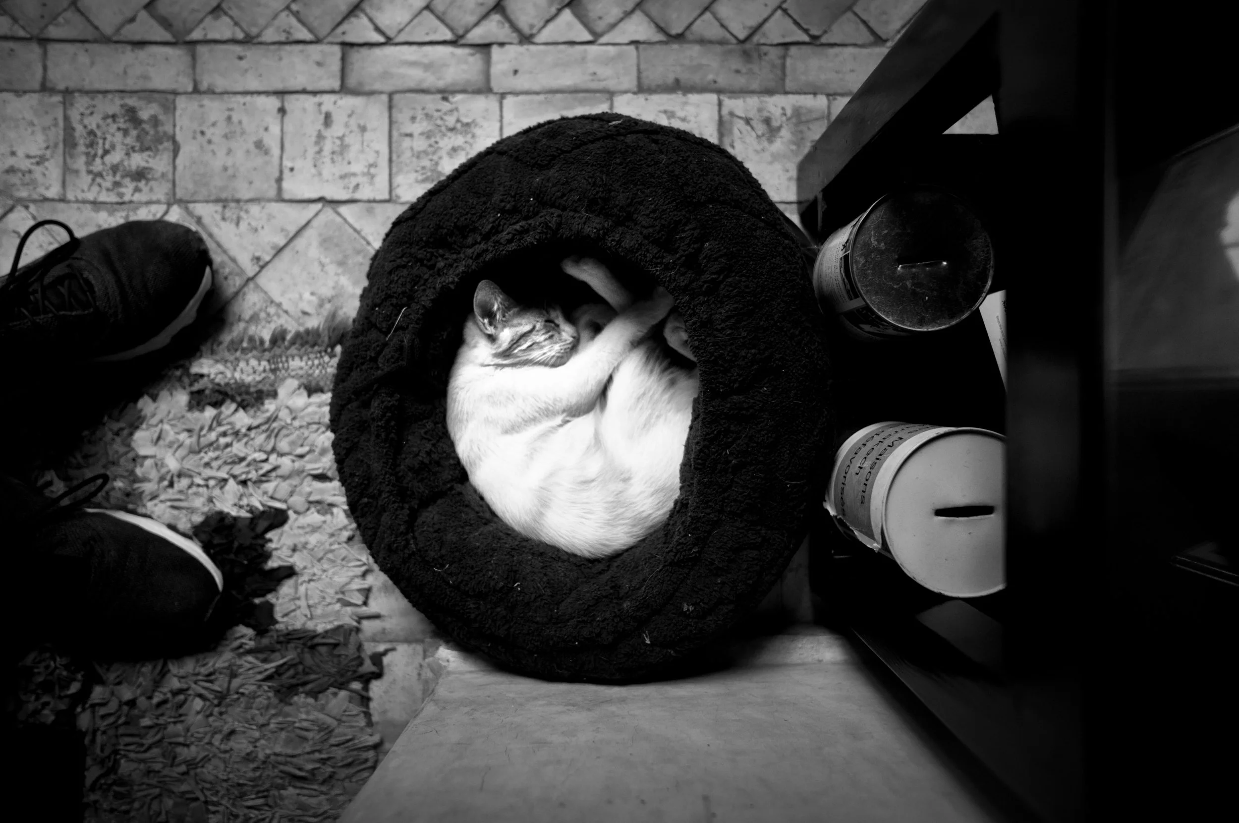 A black and white photo of a cat curled up and sleeping inside a round, fuzzy black bed. The cat is nestled comfortably with one paw over its face. The bed is next to a piece of furniture and some bottles or cans are on the floor nearby. A person's f