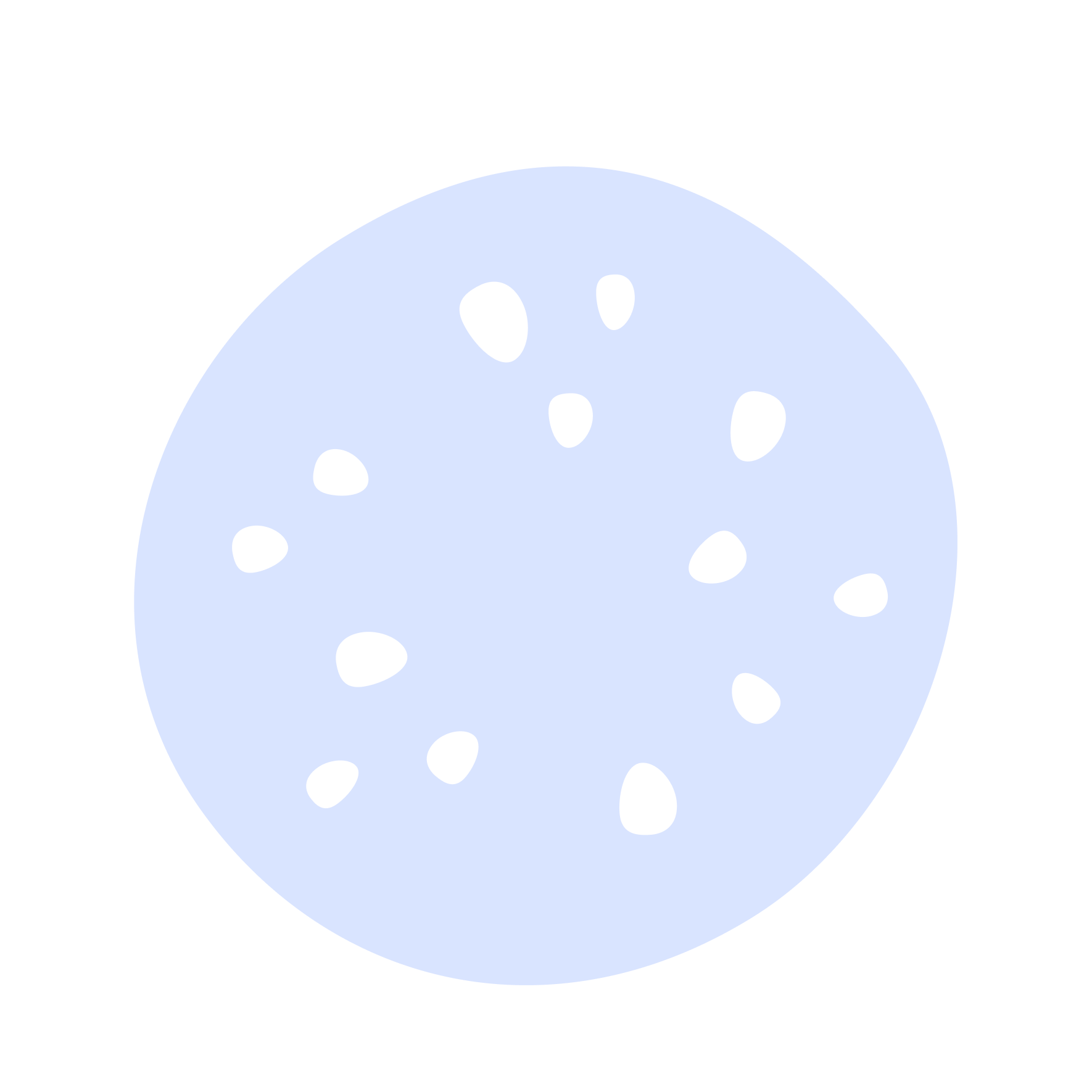 Light blue cookie with black chocolate chips on a black background.