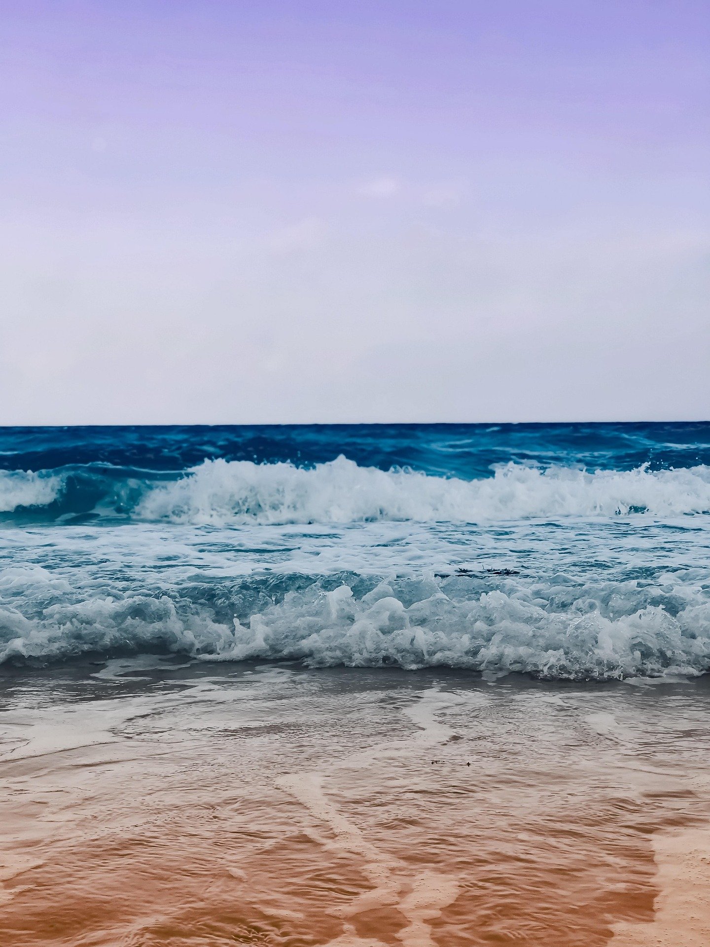ajs1-beach-5404664_1920.jpg
