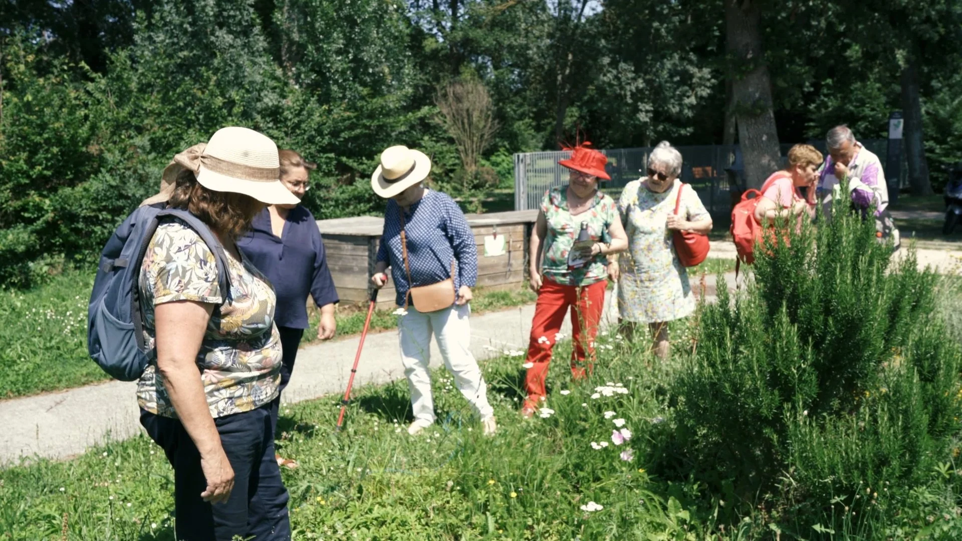 Biodiversité v2.00_02_00_18.Still007.jpg