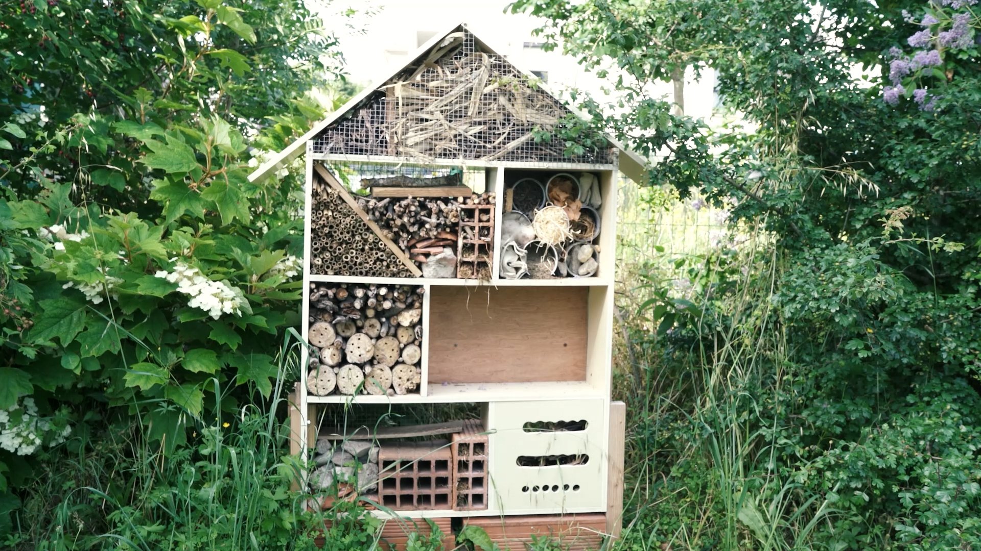Biodiversité v2.00_03_57_19.Still014.jpg