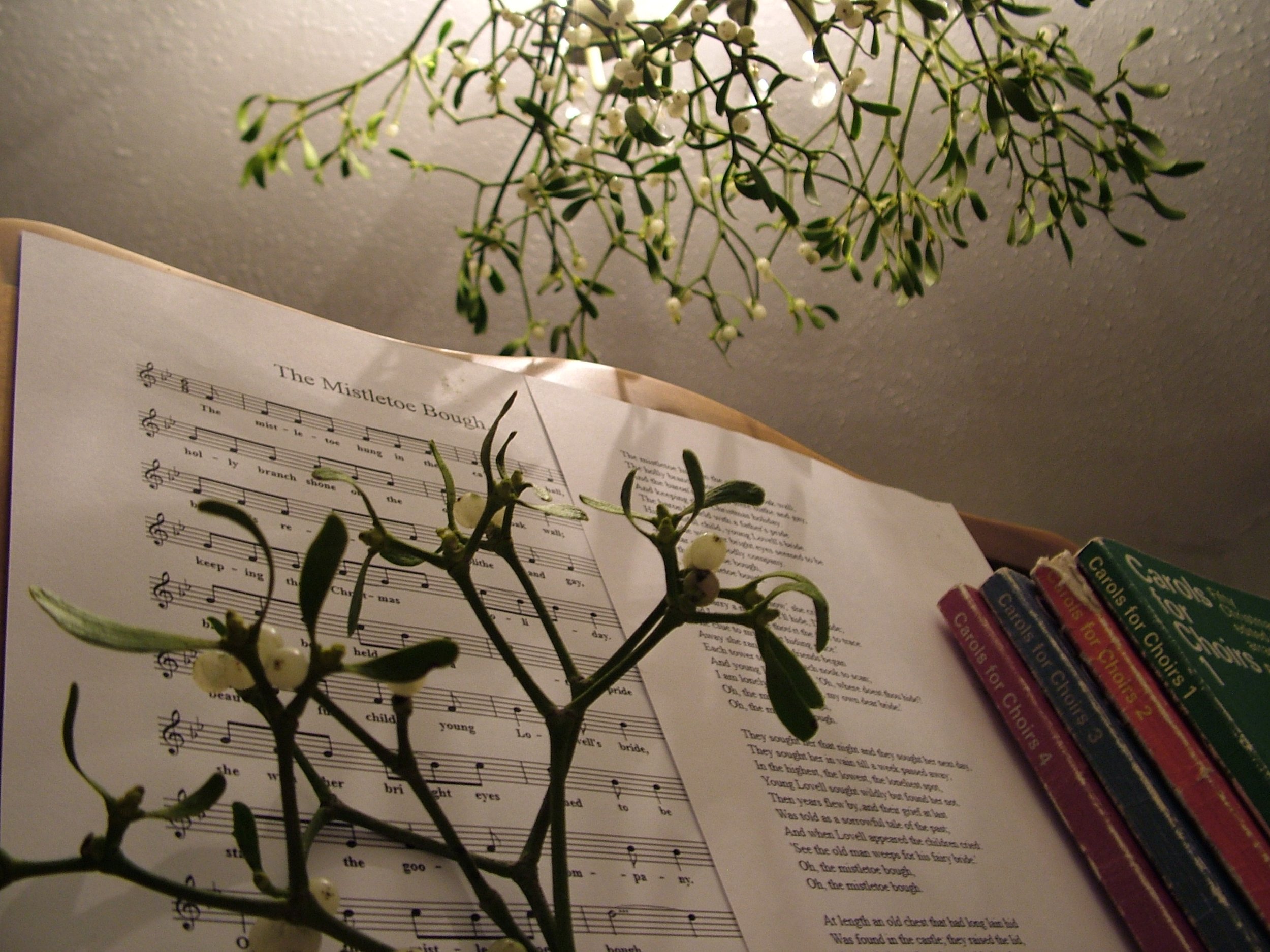 Insomnia in a silent night