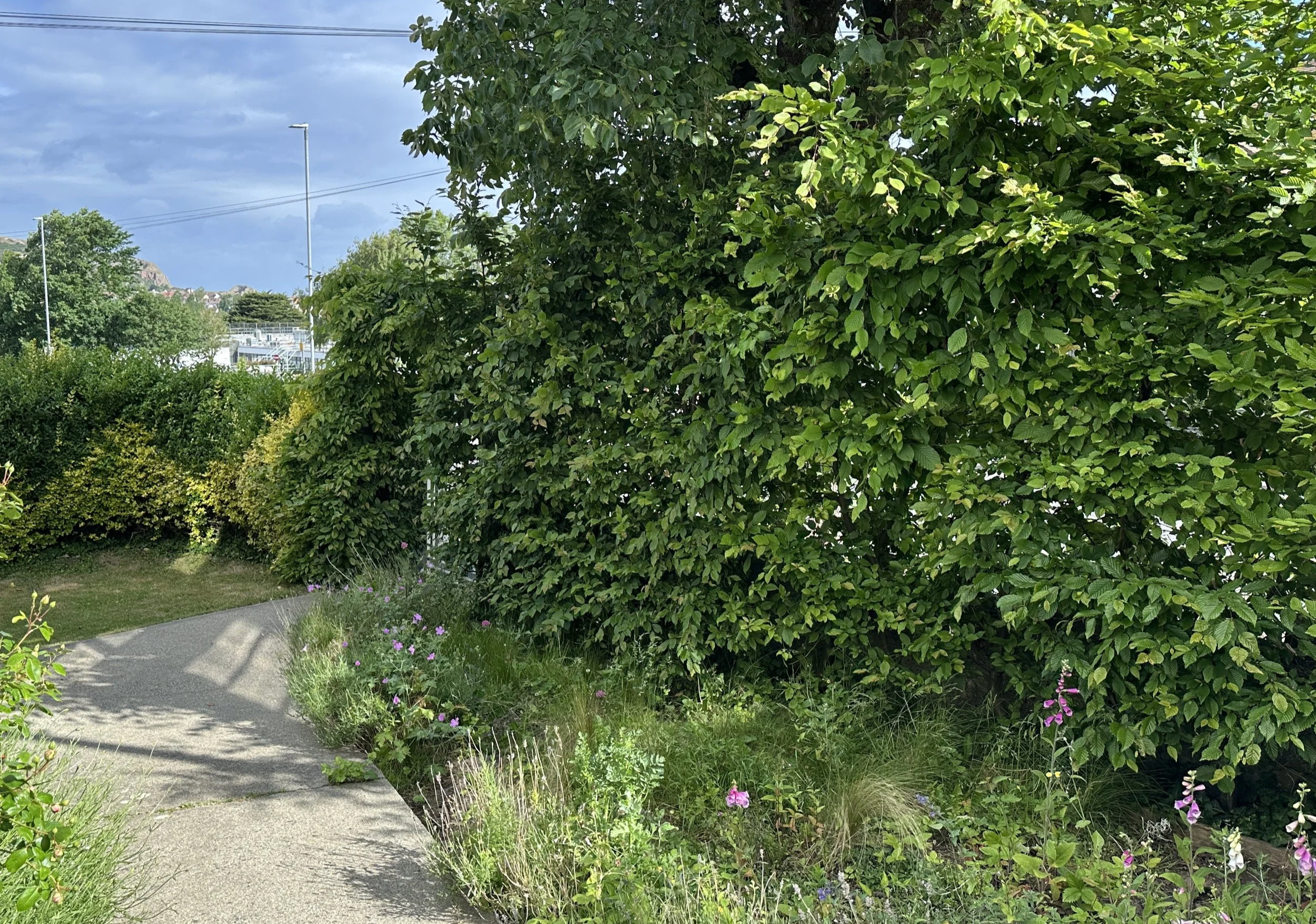 Gardens carry other people with them