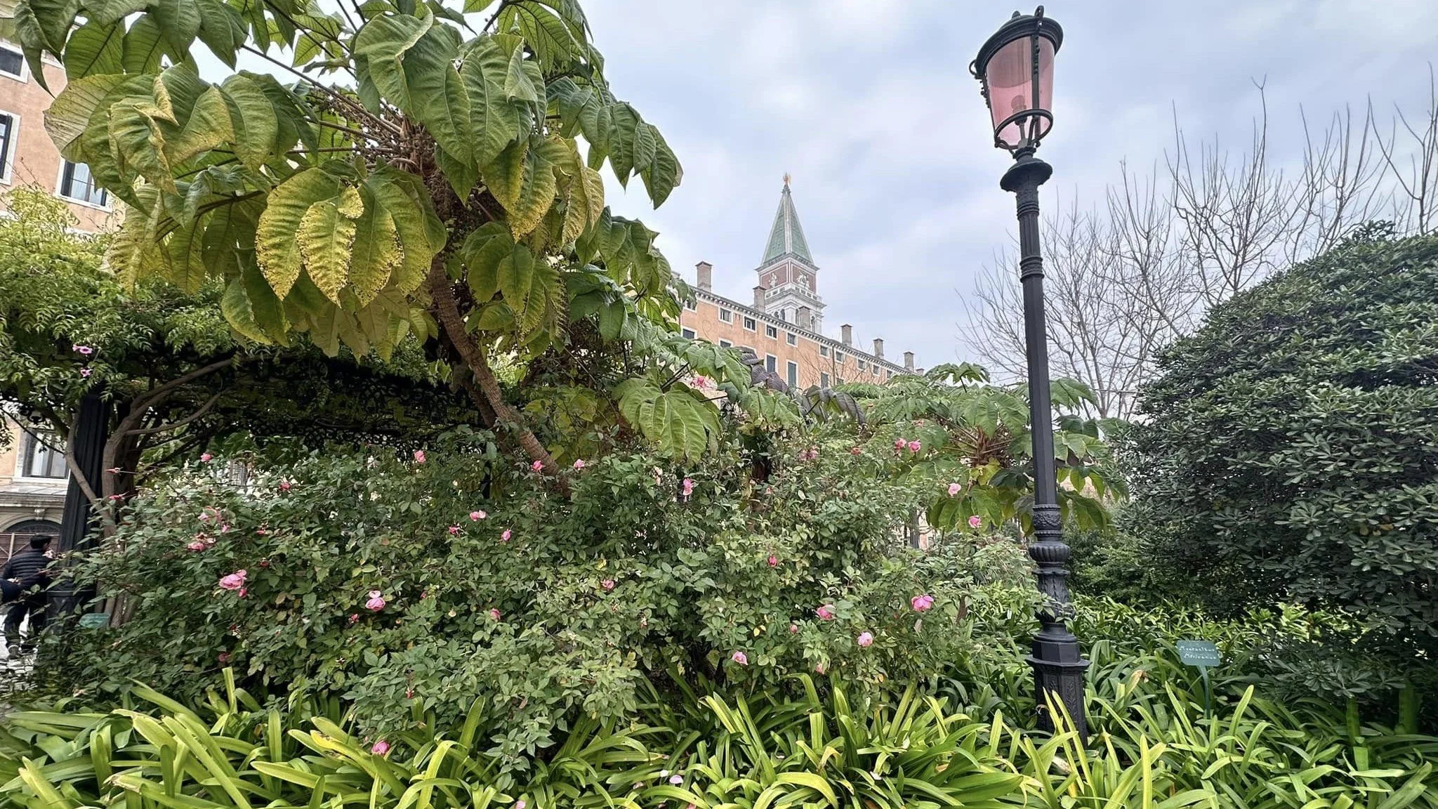 Gardens Against the Water: notes from Venice