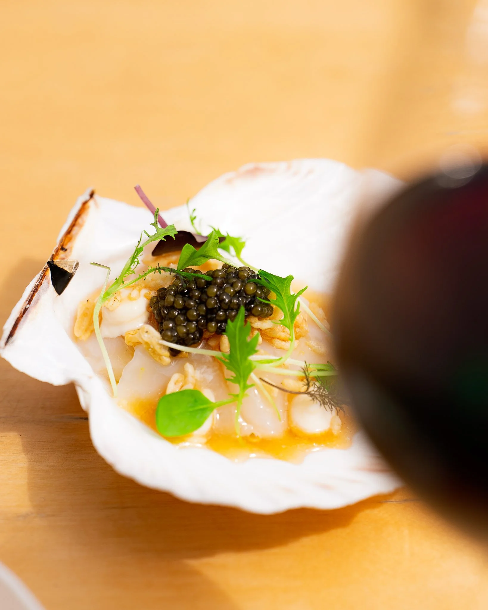Chefs in het Bos _ Weekend 01-557.jpg