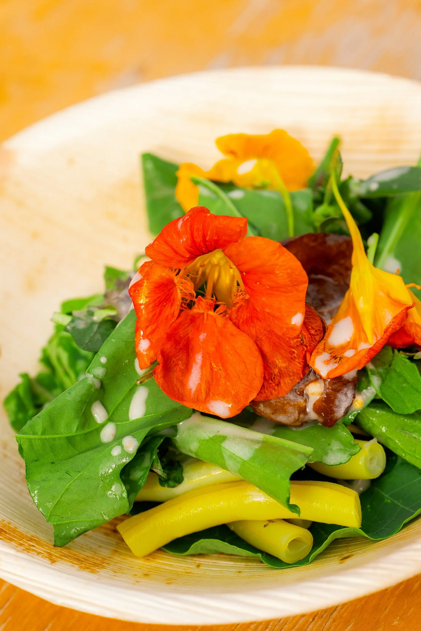 Chefs in het Bos _ Weekend 01-1788.jpg