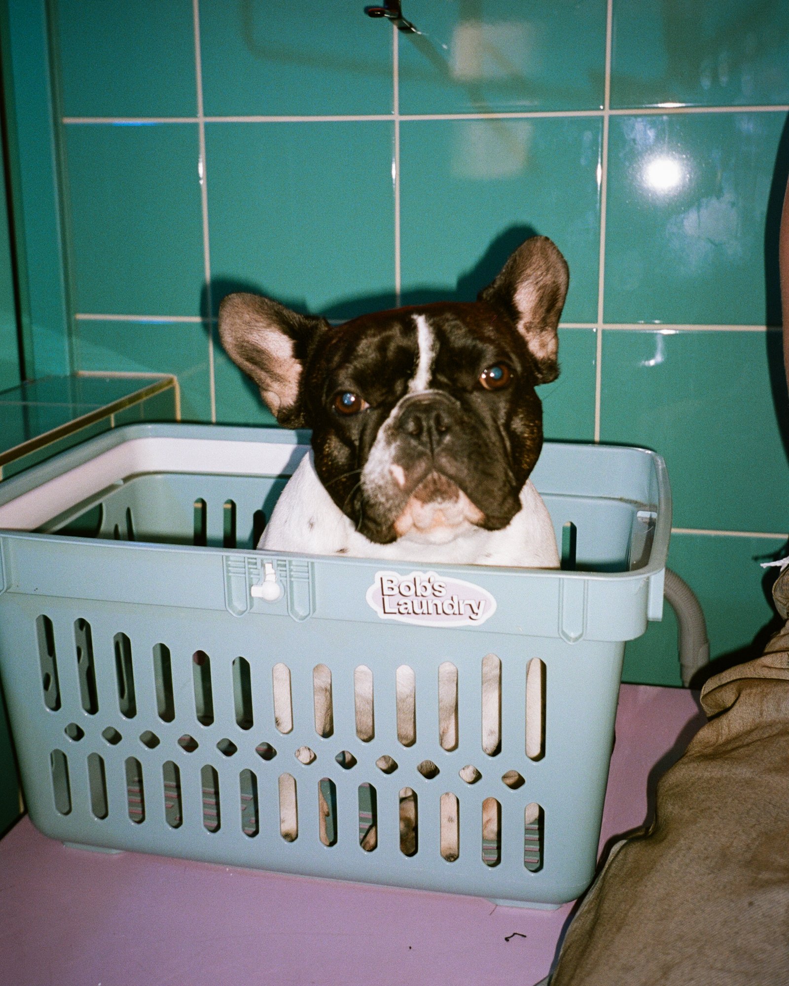 Trendi muoti_Erika Vikman_film-3.jpg