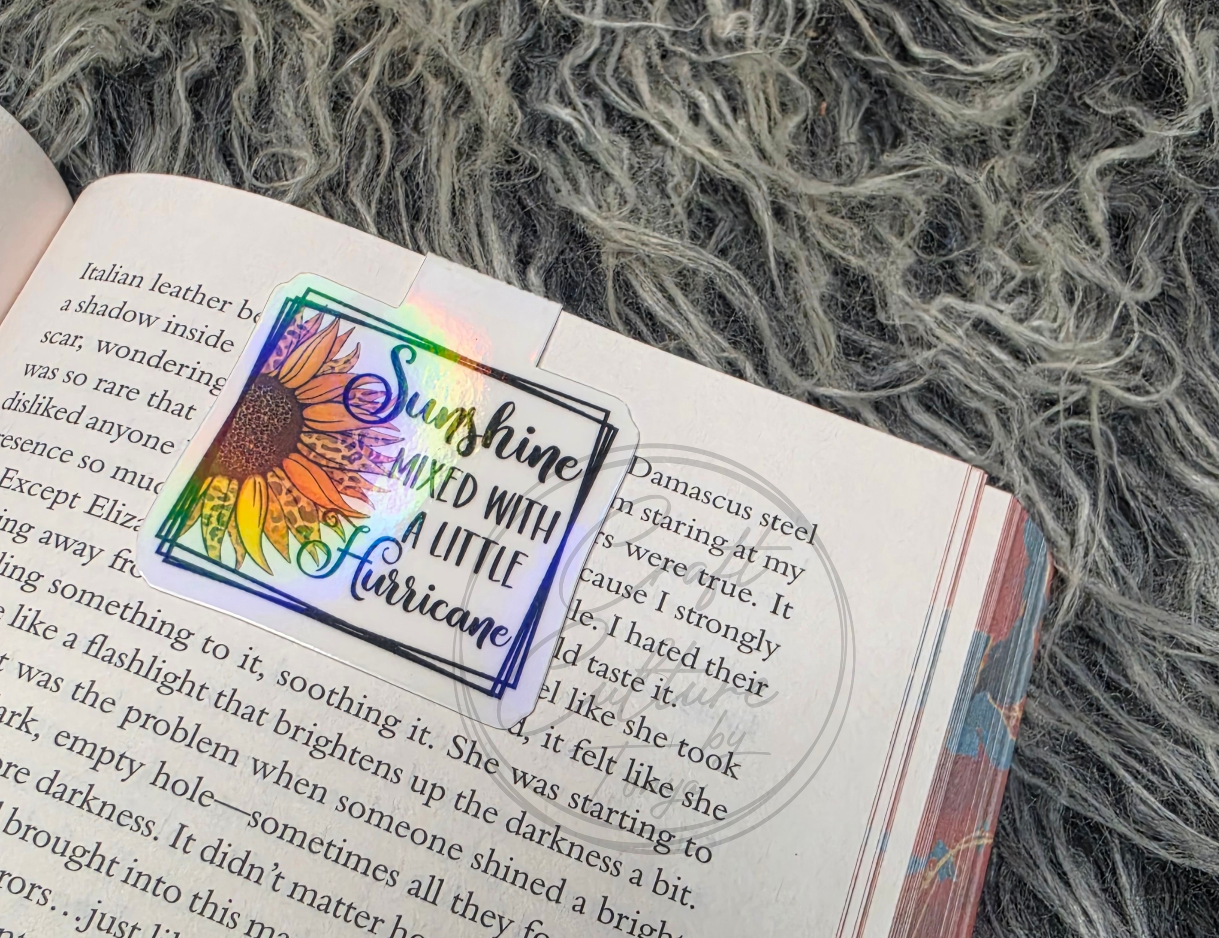 Sunshine Mixed With a Little Hurricane Magnetic Bookmark