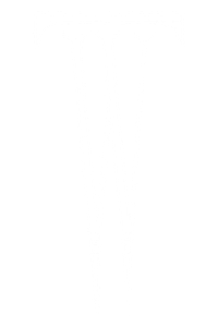 Black and white logo with a stylized letter 'W' and a vertical line extending downward from each side of the letter.