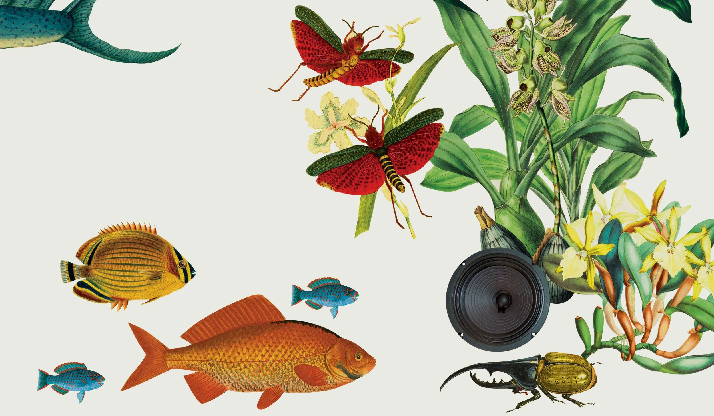 12_Sonos_wallpaper_07_crop.jpg