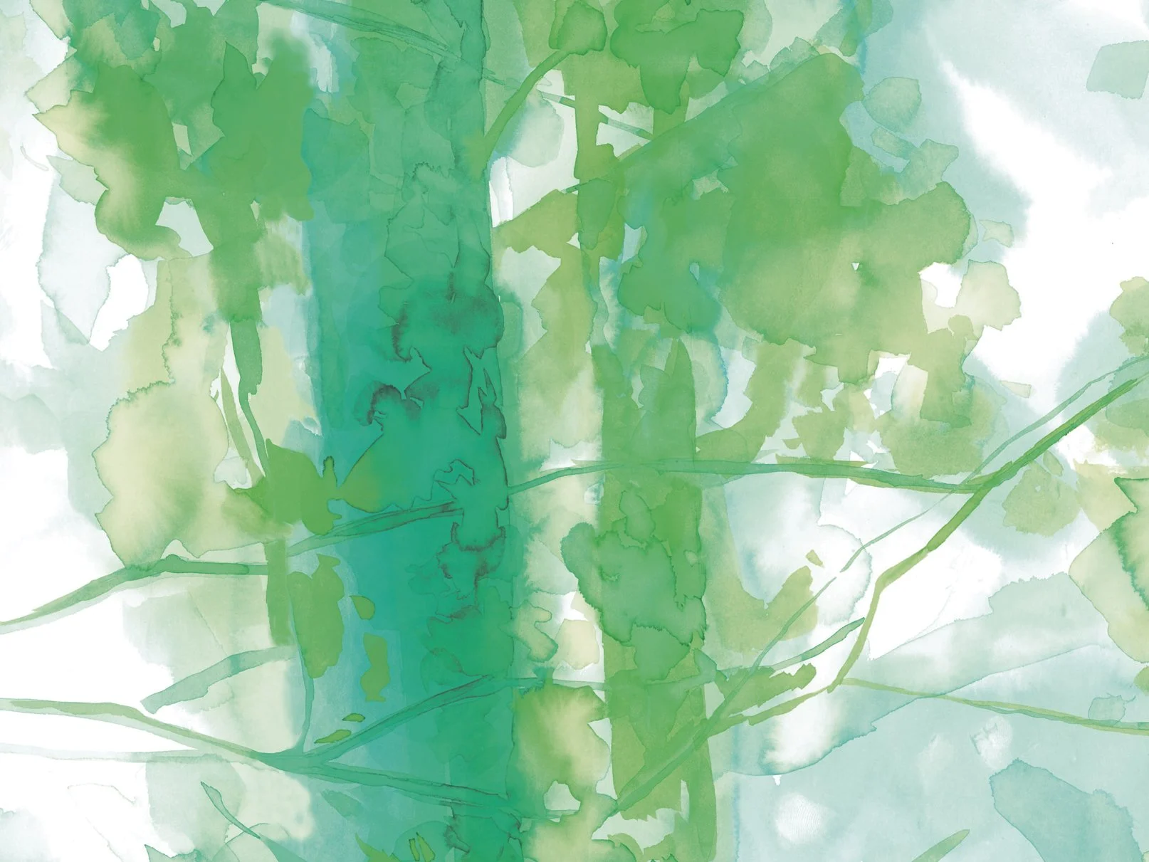 Rainforest Artwork Wall Print – Amgen Hong Kong