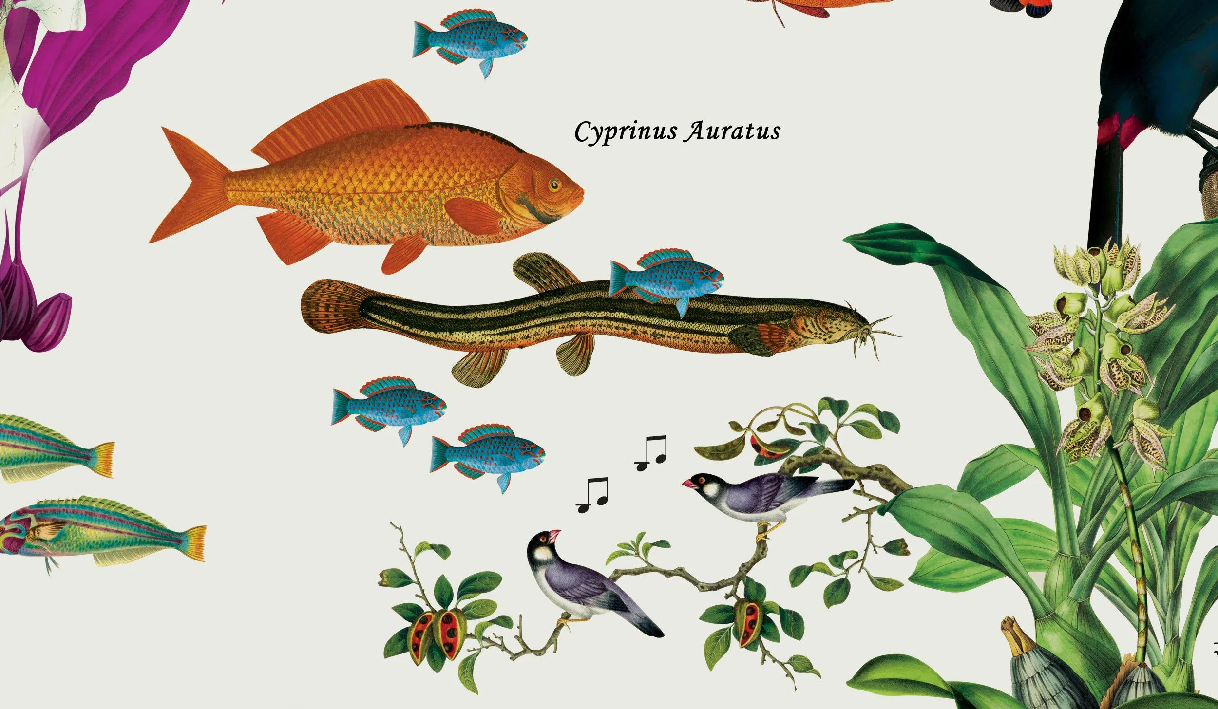 12_Sonos_wallpaper_09_crop.jpg