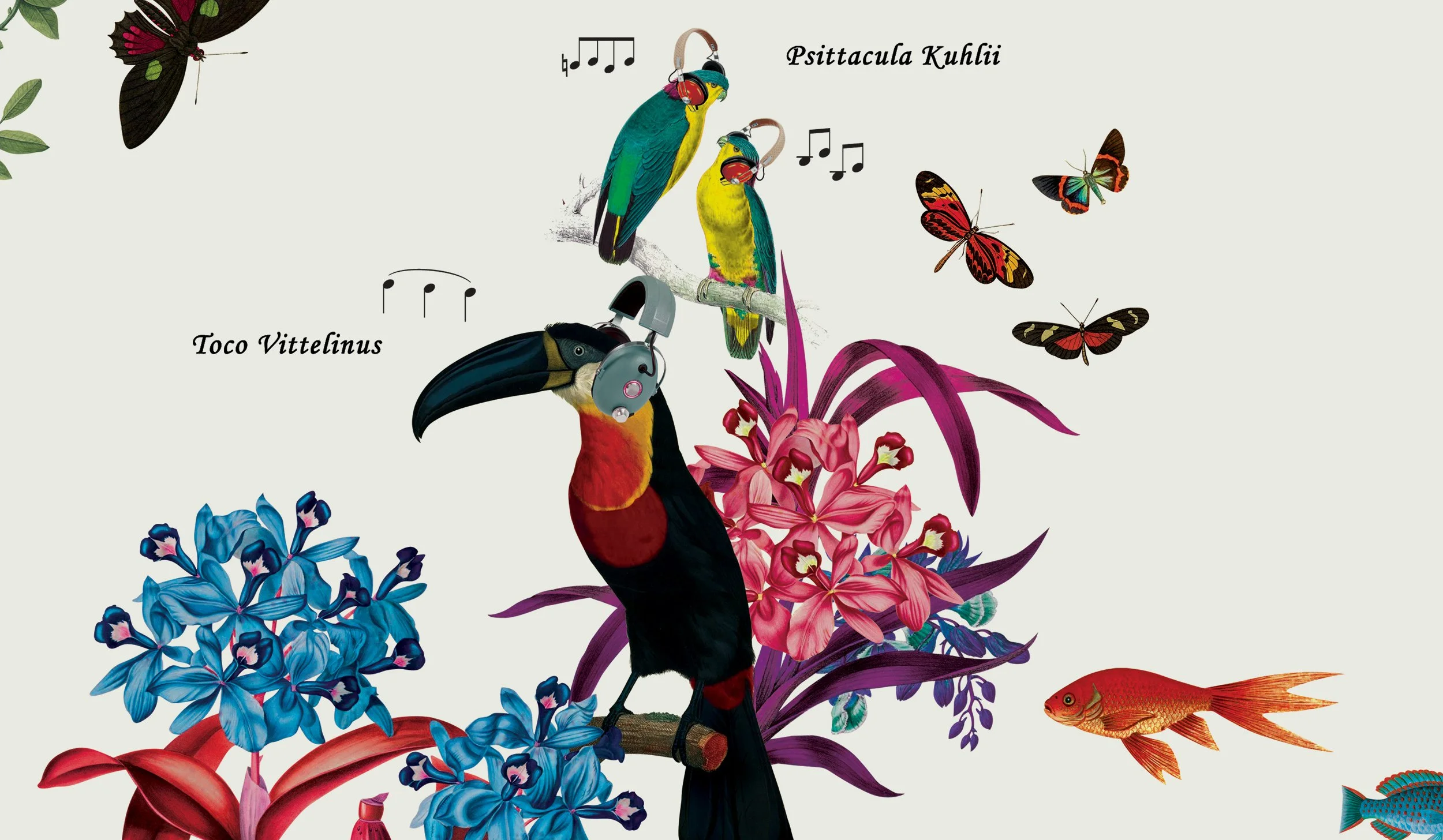 12_Sonos_wallpaper_04_crop.jpg