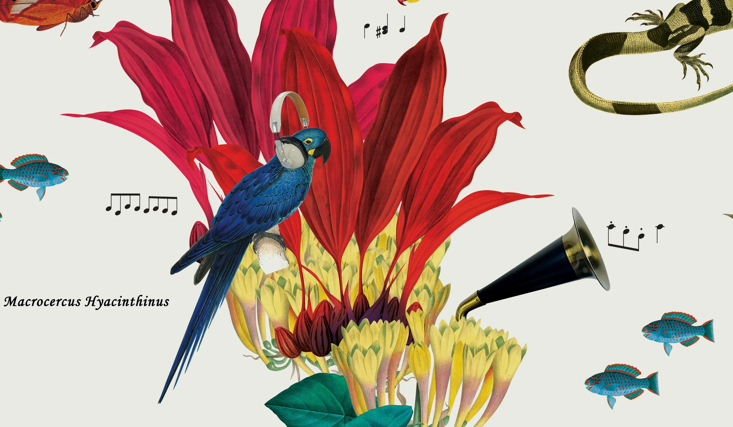 12_Sonos_wallpaper_05_crop.jpg