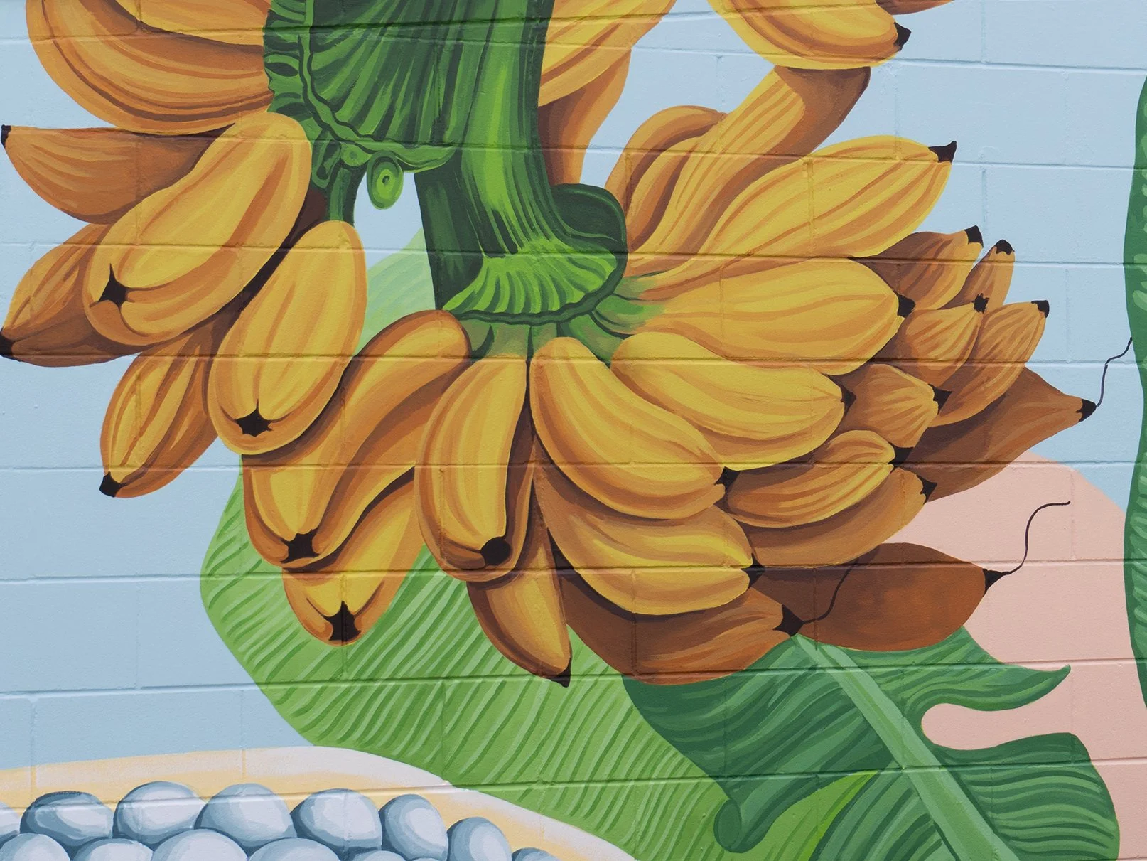 Botanical Mural – Double Espresso Shot Waiheke Island