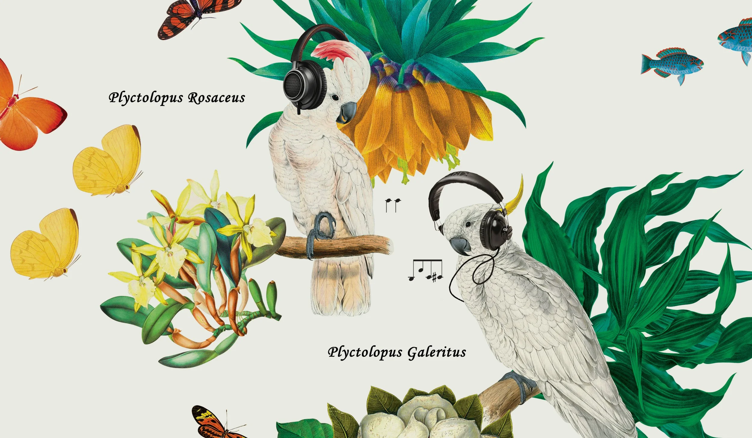12_Sonos_wallpaper_03_crop.jpg
