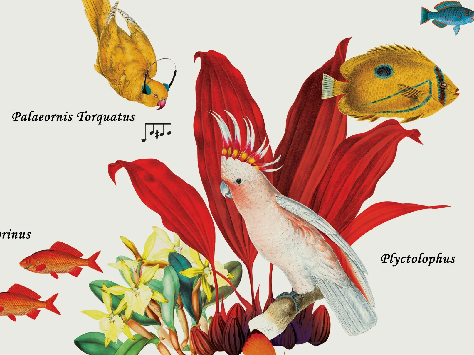 Birds in sound paradise Wallpaper Print – Sonos Munich