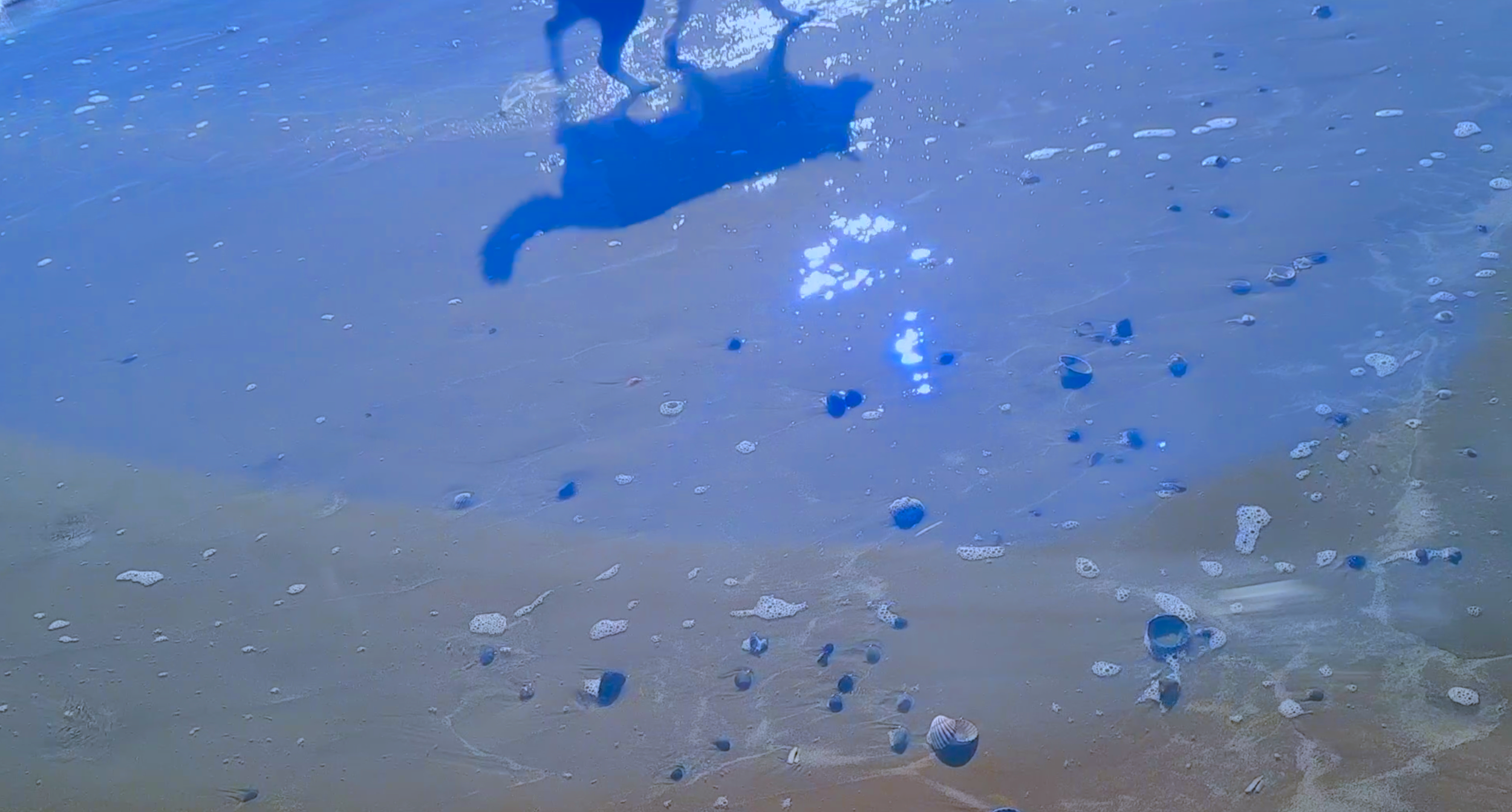 Screenshot 2022-03-16 at 16.26.30.png