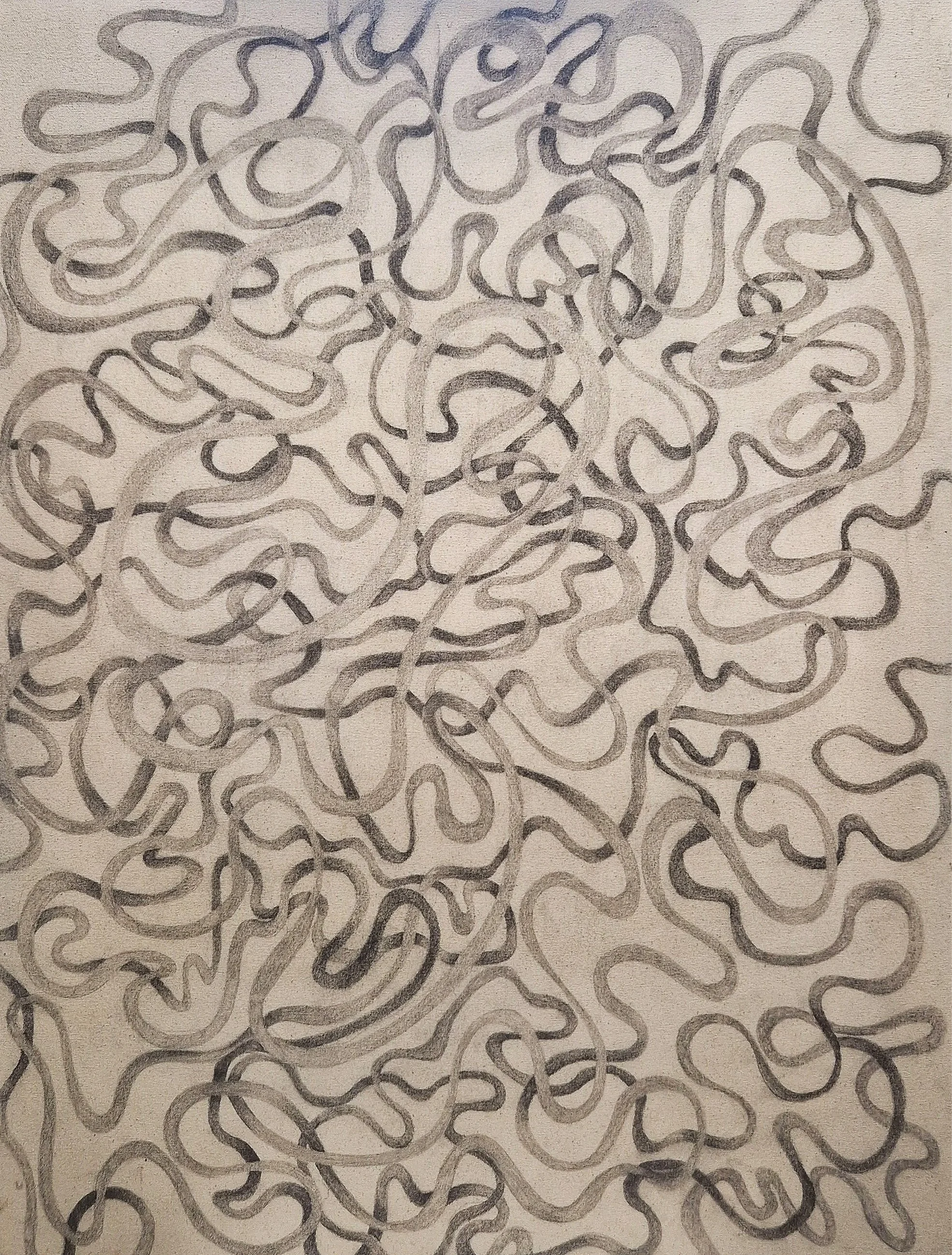 Digestion, 2024, graphite on canvas, 60cm x 80cm.