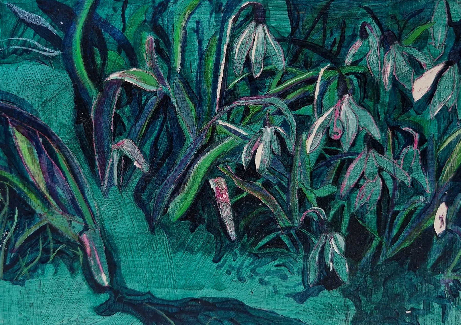 Galanthus nivalis, 2024, acrylic on panel, 13cm x 18cm.