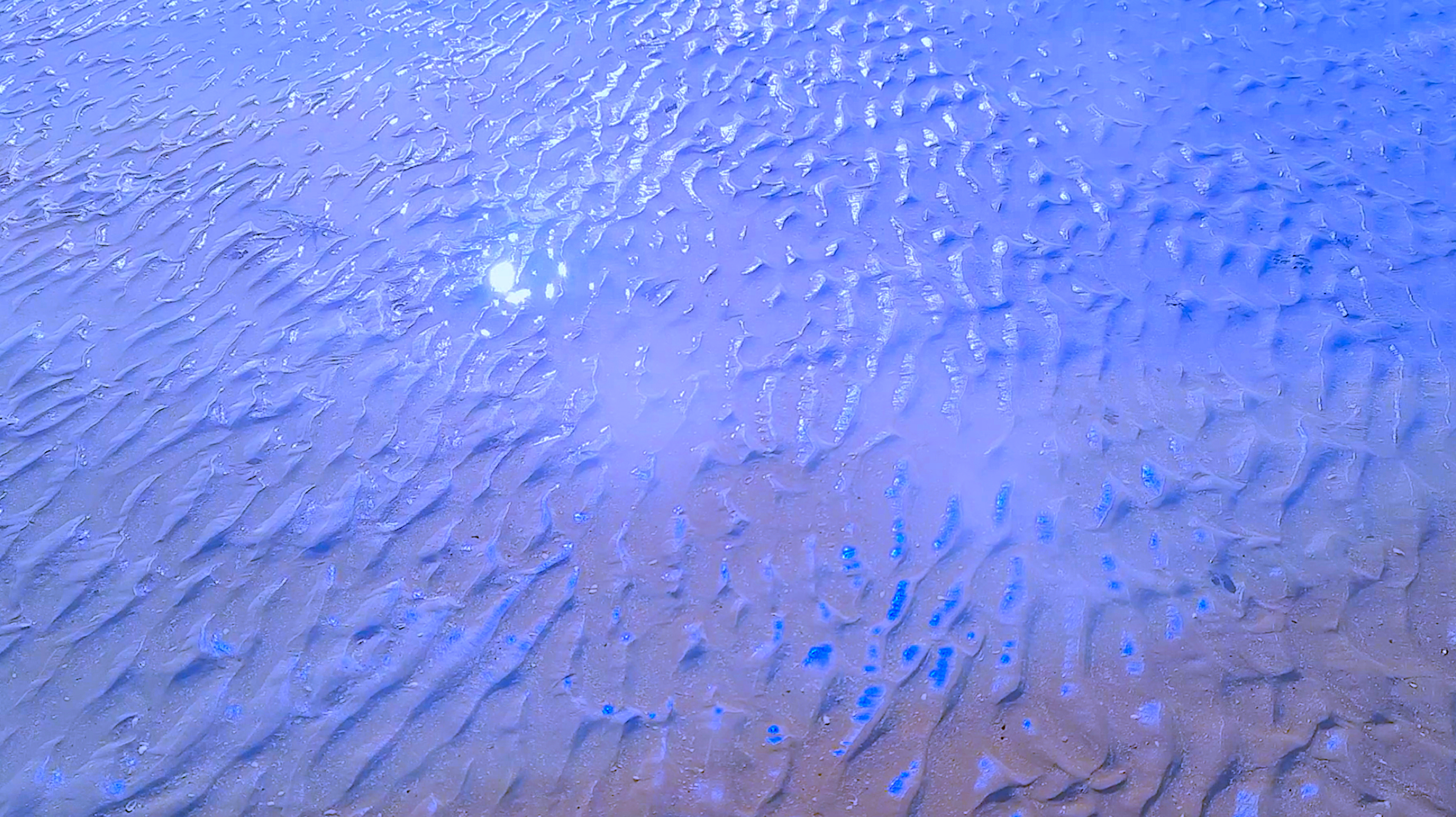 Screenshot 2022-03-28 at 12.20.40.png