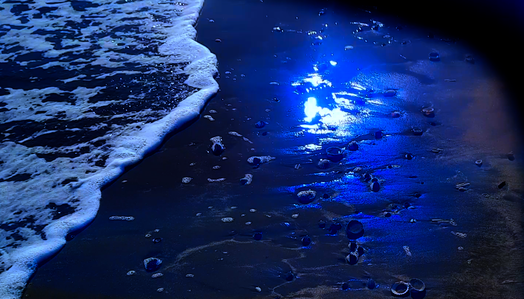 Screenshot 2022-03-14 at 12.11.43.png