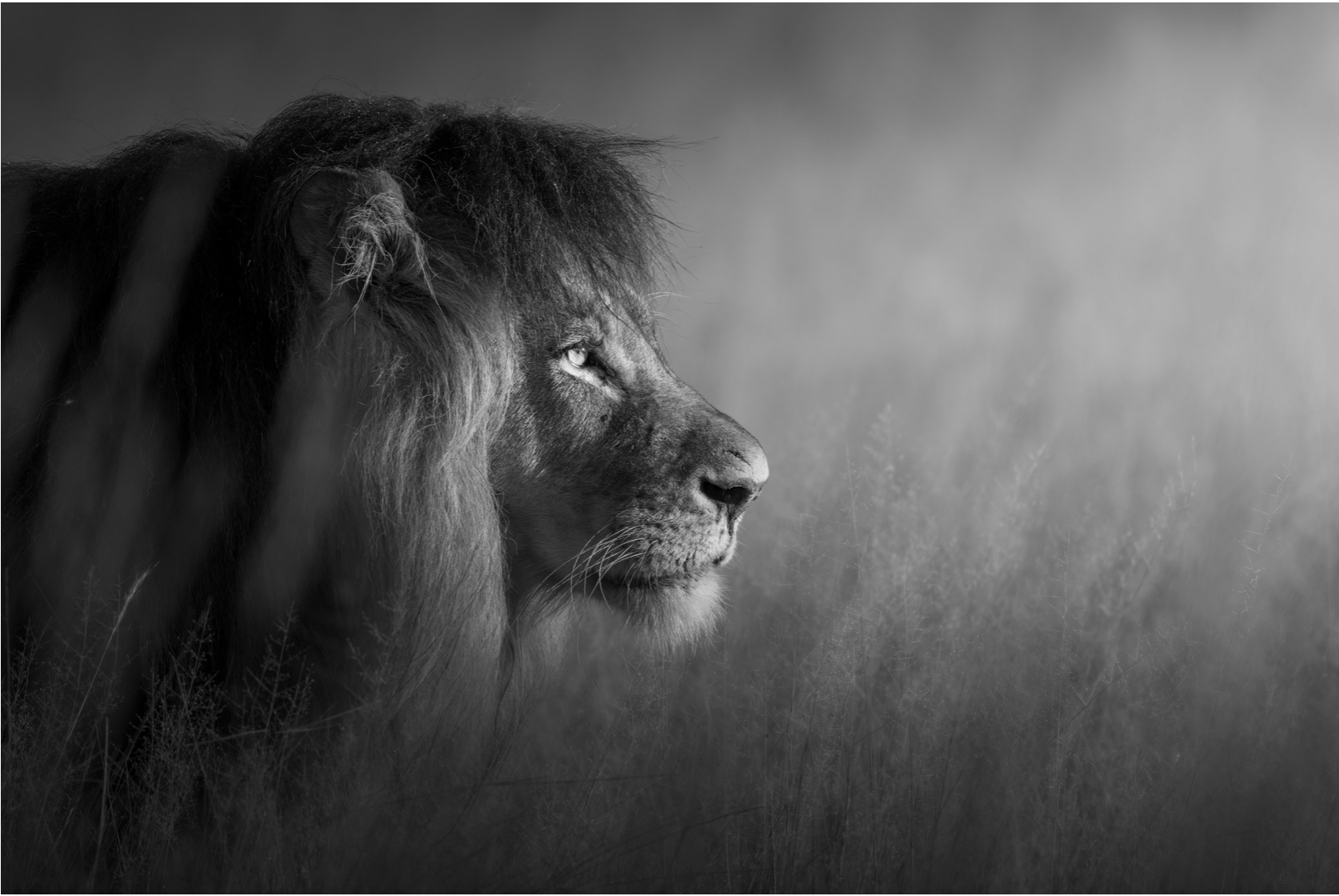 Screenshot 2022-12-25 at 17.12.30.png