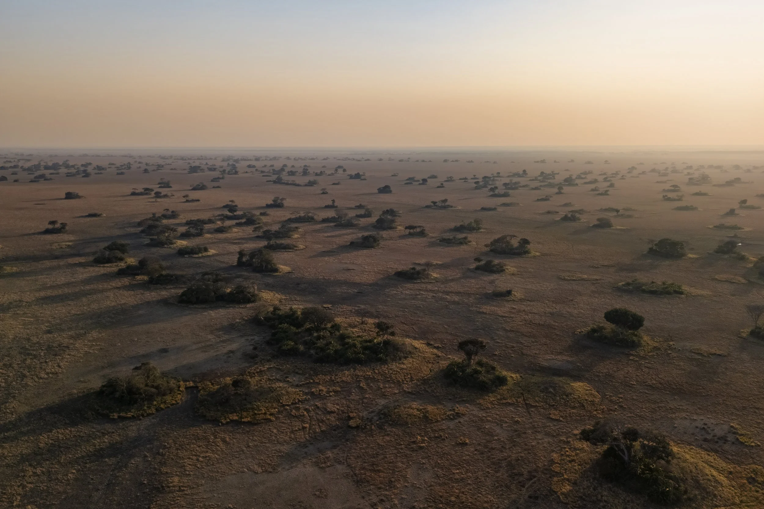 Landscape_Busanga_Shumba_Zambia_2025_AM_#1.jpg