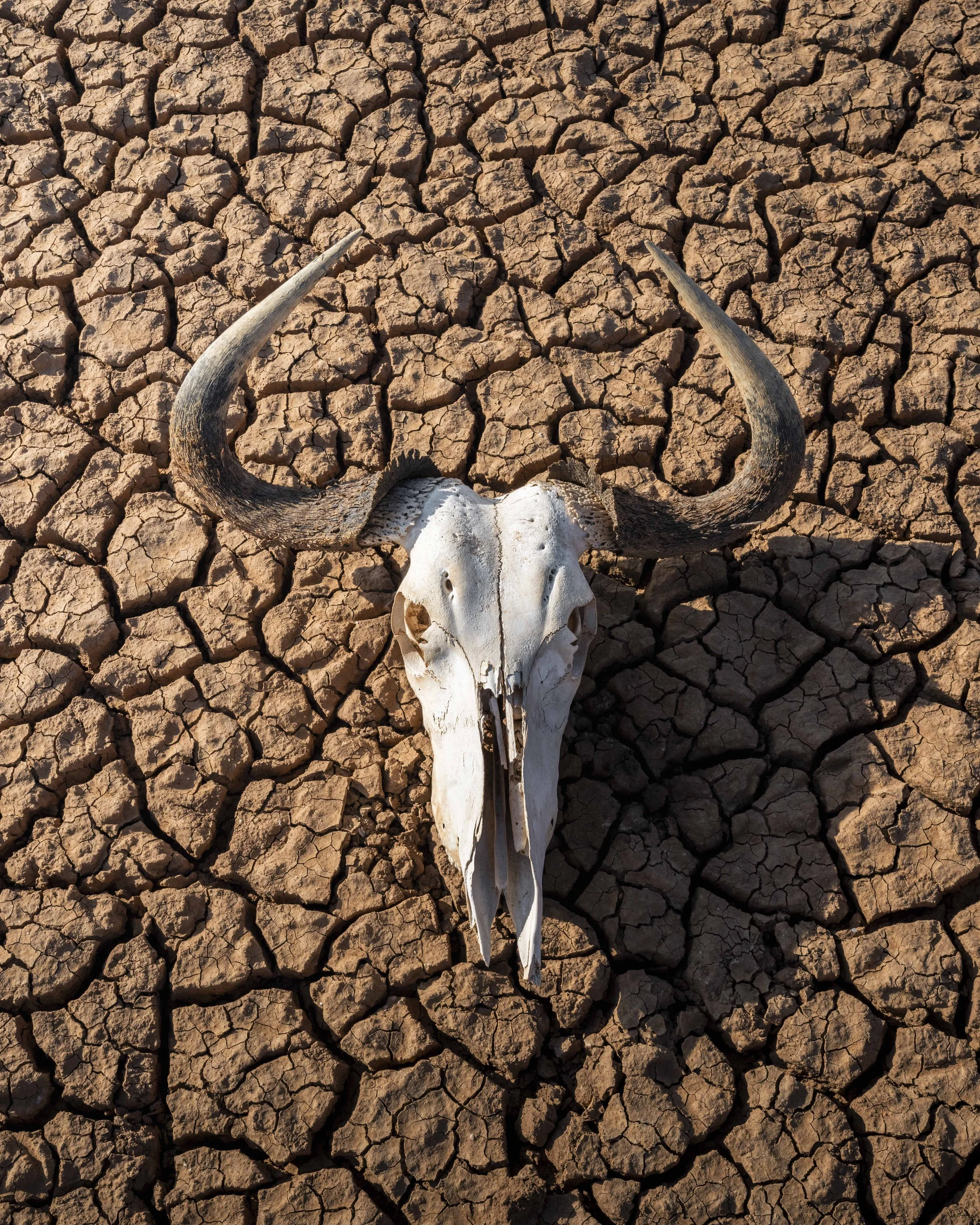 amboseli-photo-safari-elephants-craig- 24.jpg