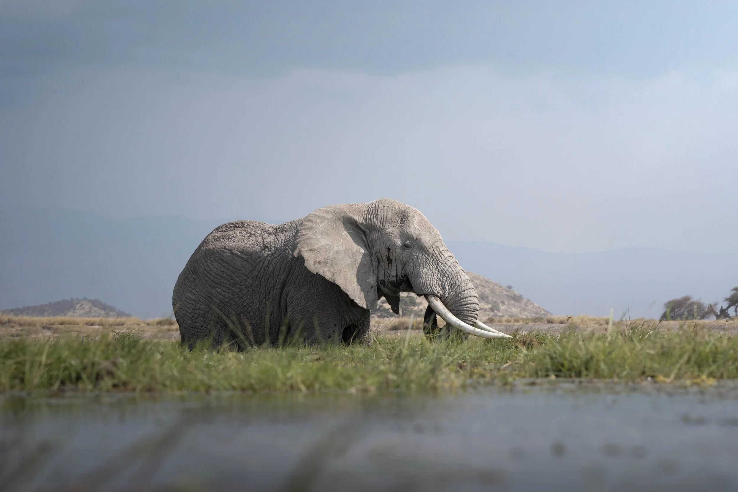 amboseli-photo-safari-elephants-craig- 56.jpg