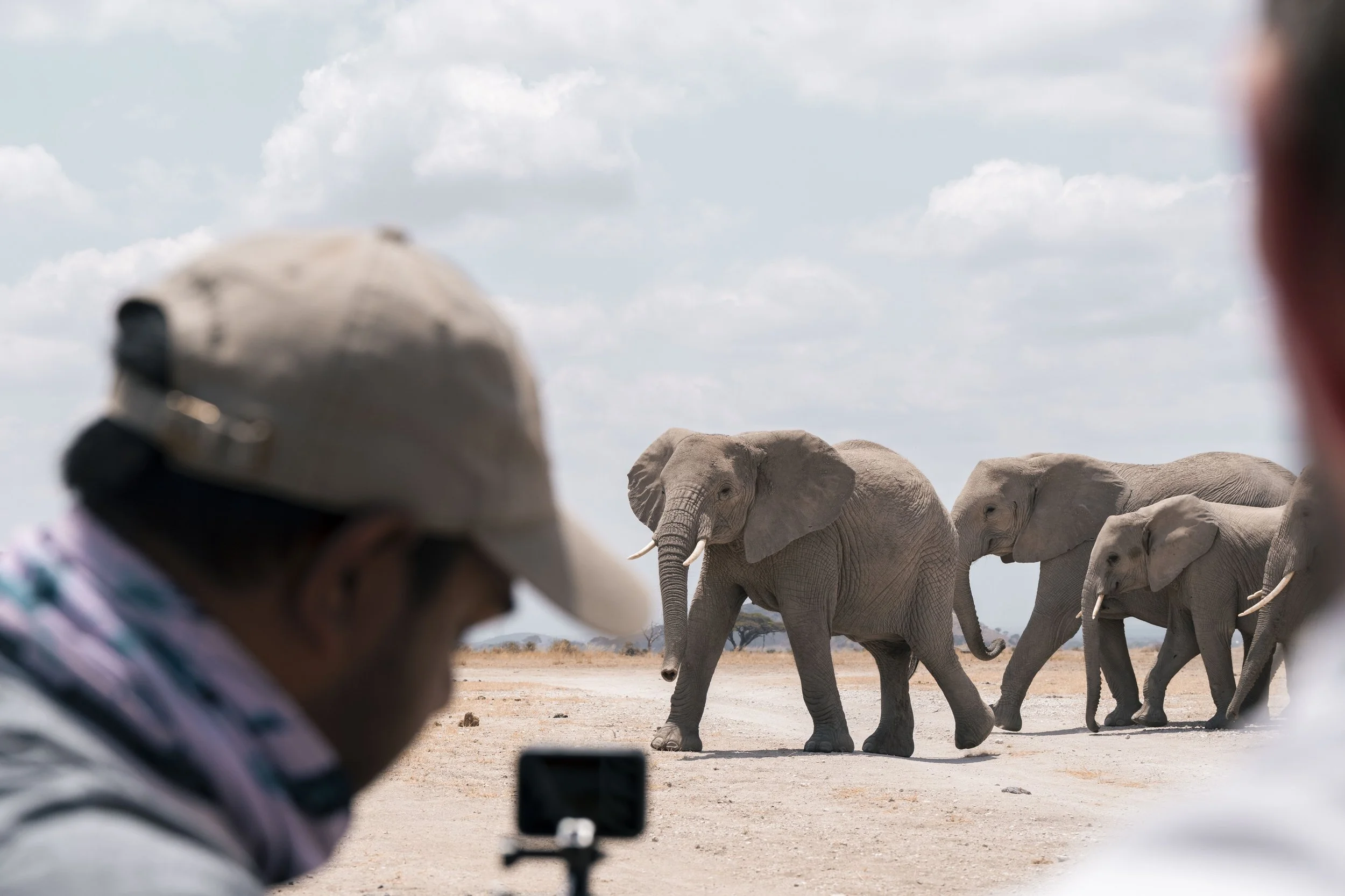 amboseli-photo-safari-elephants-craig- 27.jpg