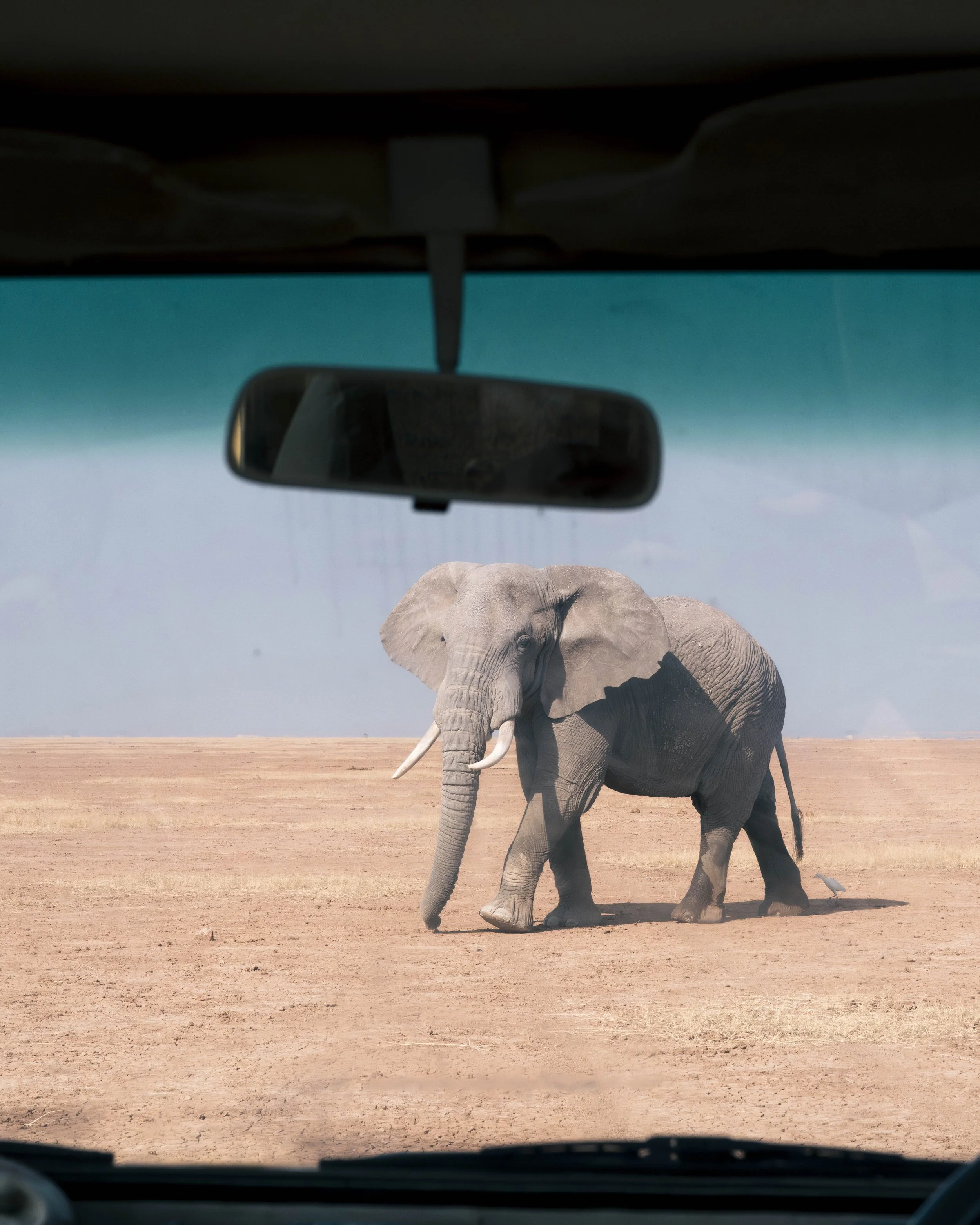 amboseli-photo-safari-elephants-craig- 16.jpg