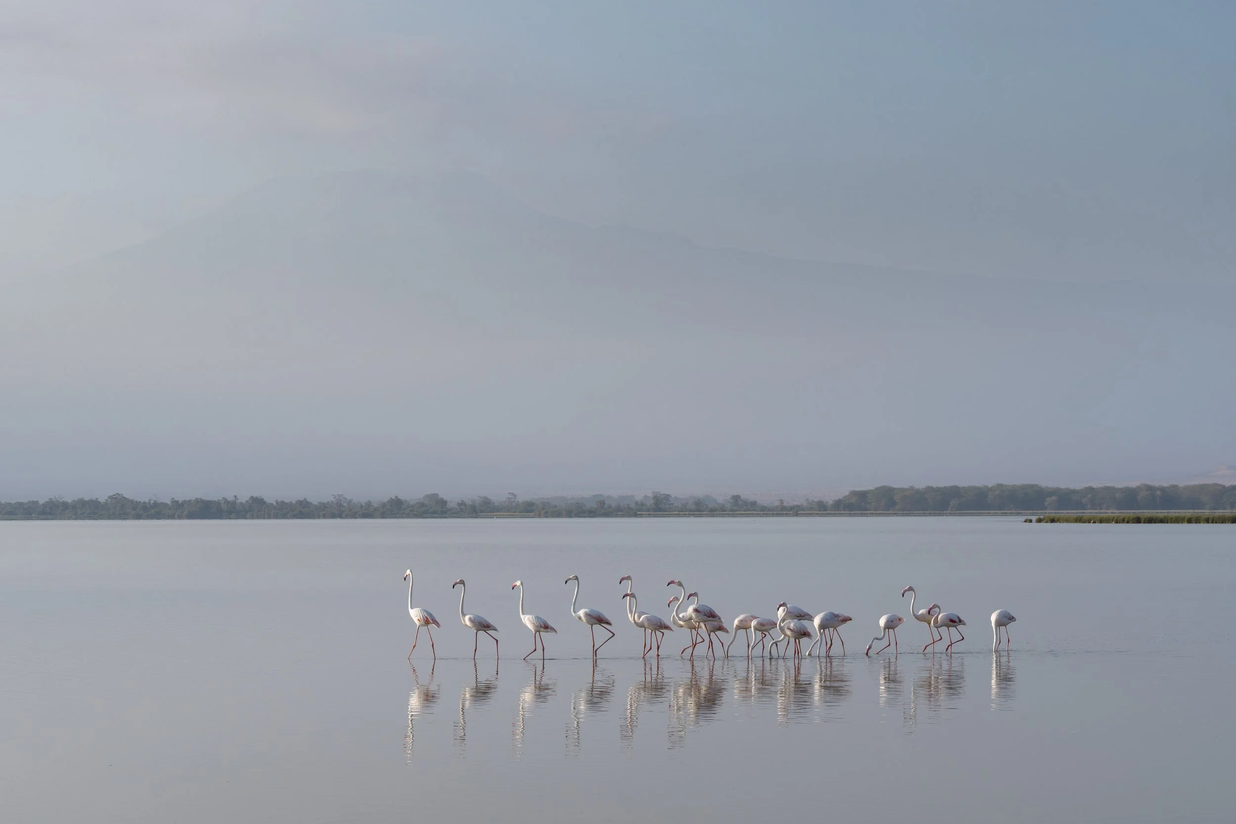 amboseli-photo-safari-elephants-craig- 10.jpg