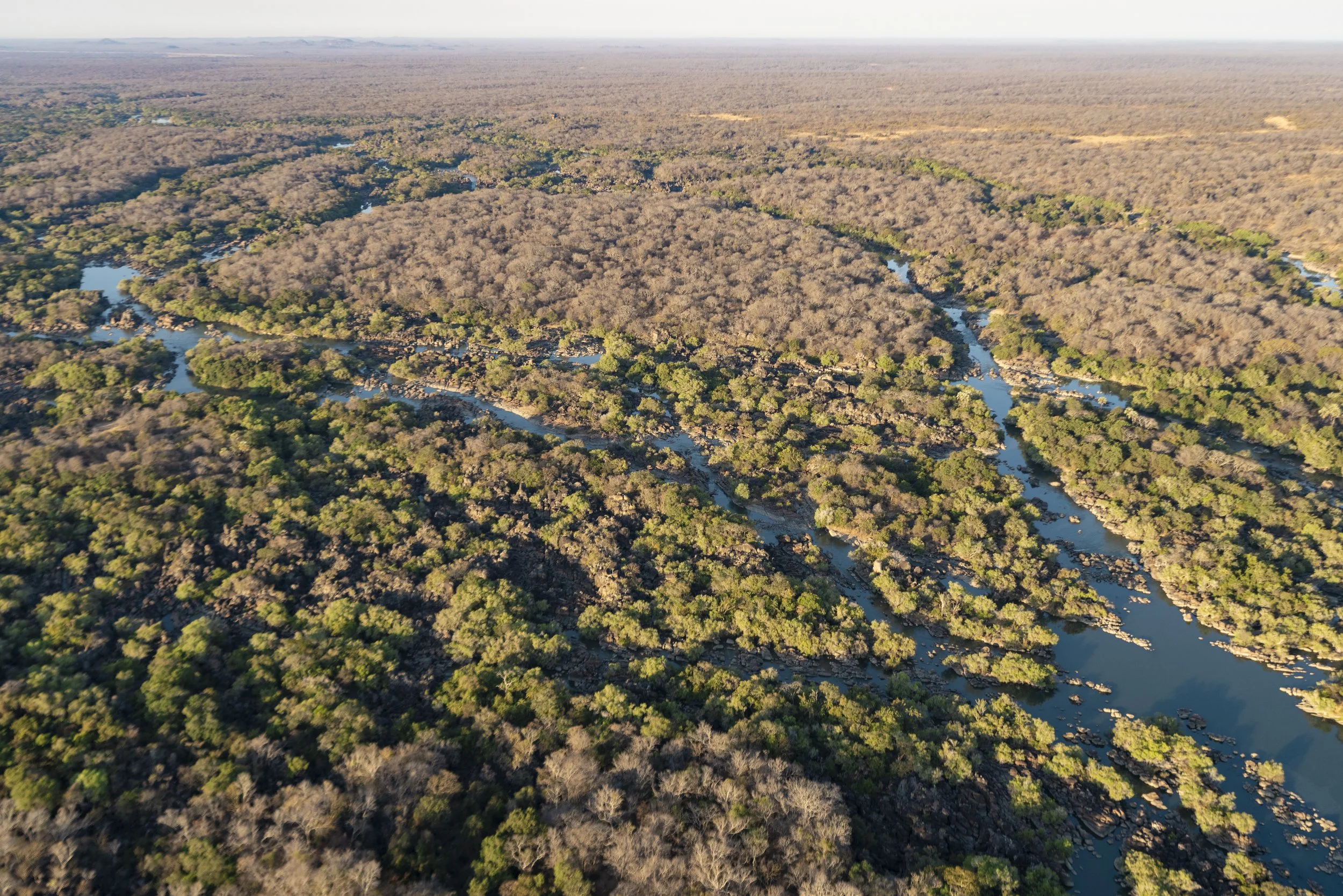 African_Parks_Chunga_Kafue_Aerial_Patrol_HR_2025_Andy_Mac_#22.jpg