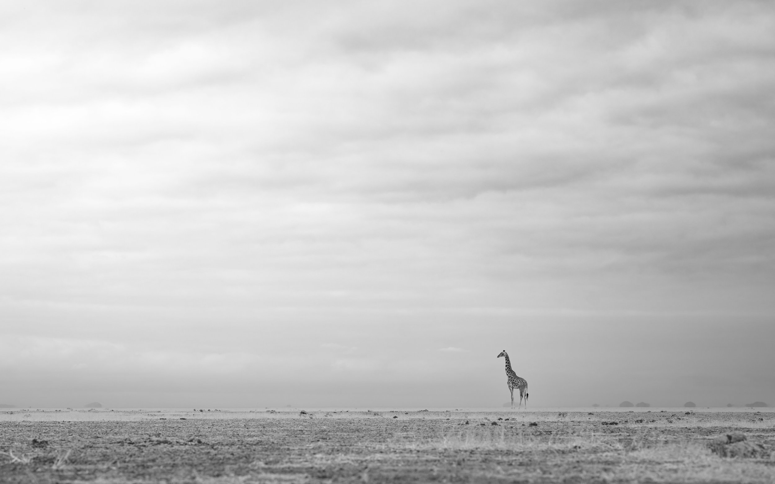 "Between Earth and Sky"