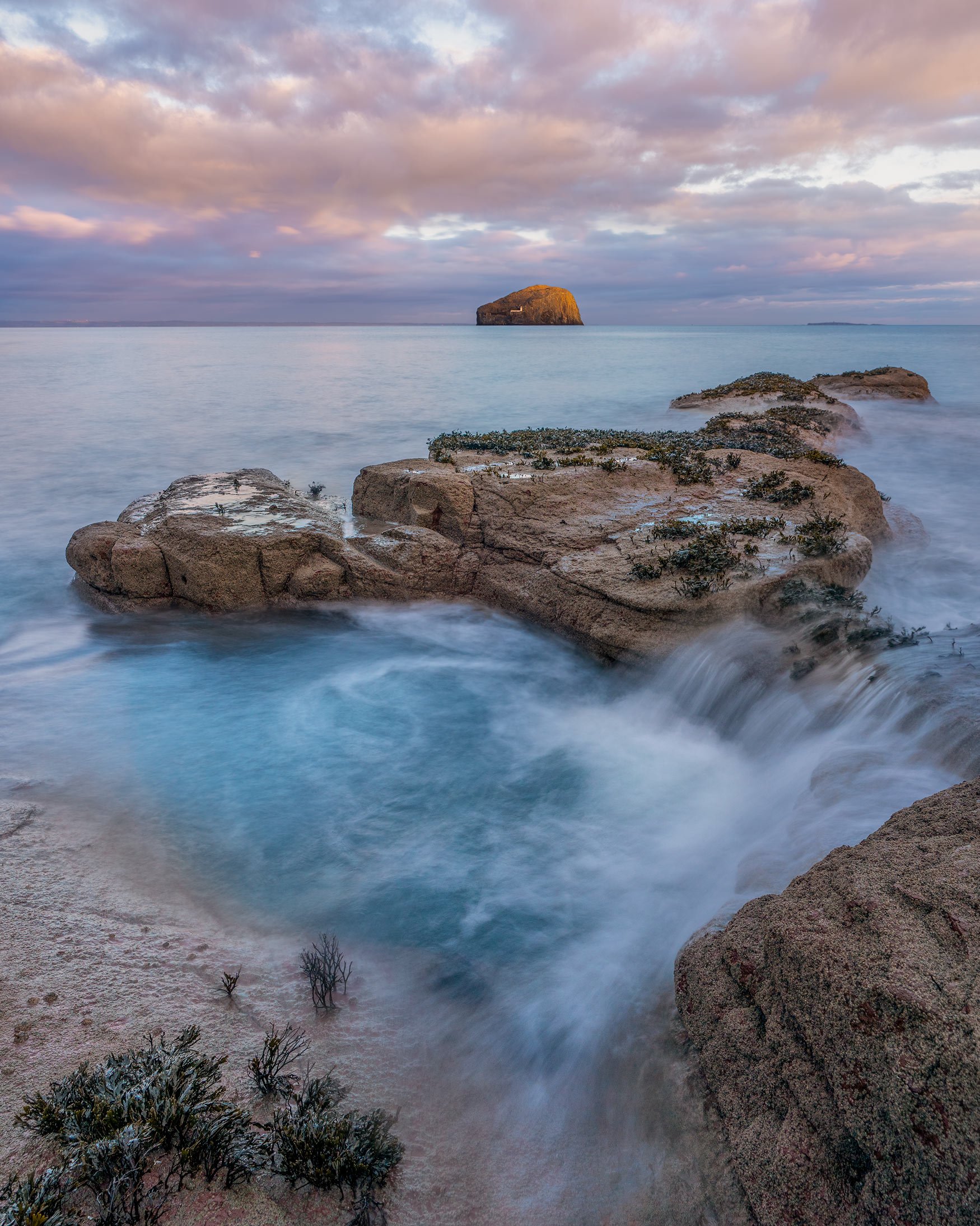 "The Pool and The Bass