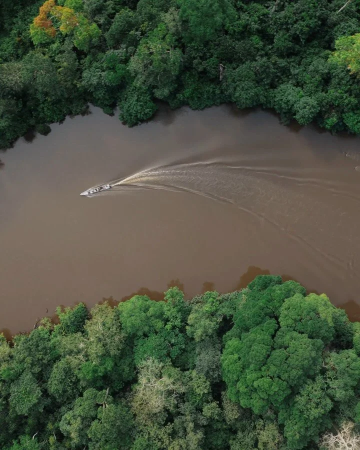 Drifting along a remote river in the Congo, searching for slender-snouted crocodiles.

A place that feels completely unchanged by time.

What an adventure with @_sarahmwang 

On location for @africanparksnetwork in @parcnationalodzalakokoua 

#congo 