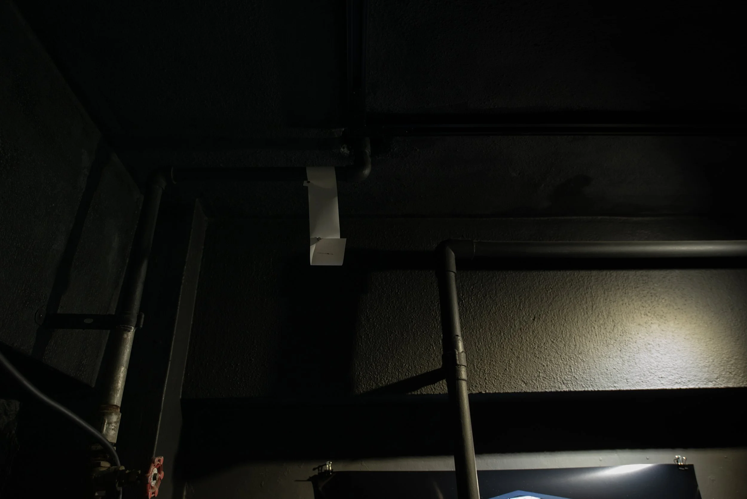 DSC_8174_1.jpg