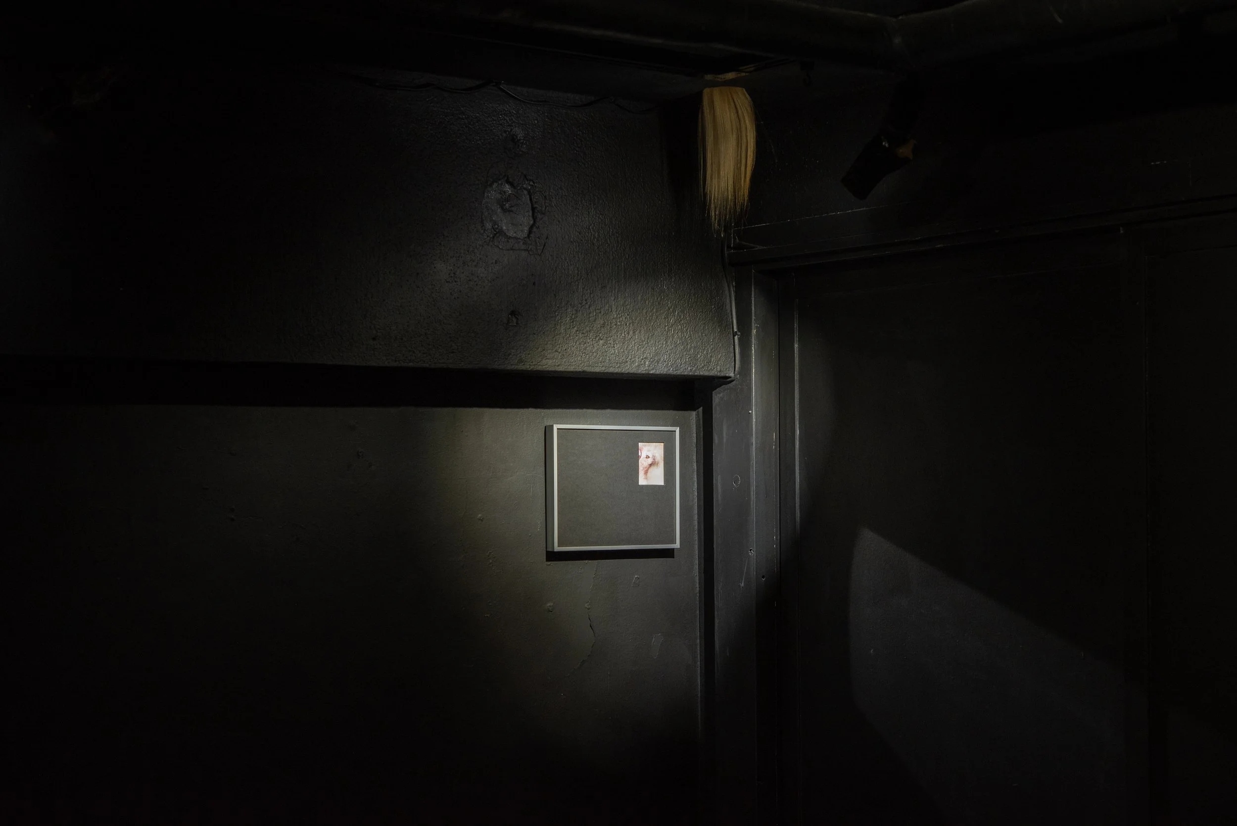 DSC_8099_1.jpg